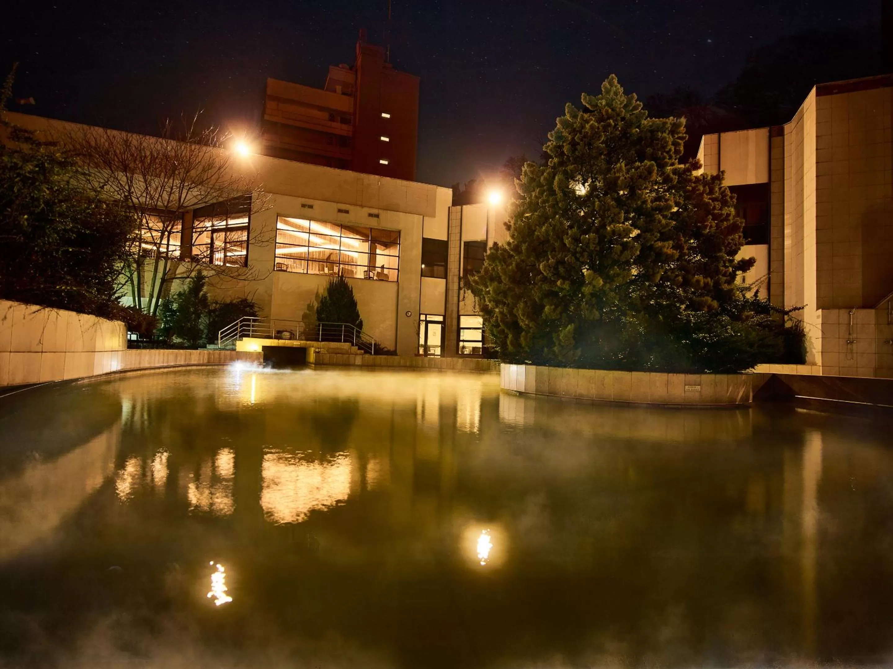 Swimming pool in Continental Forum Oradea