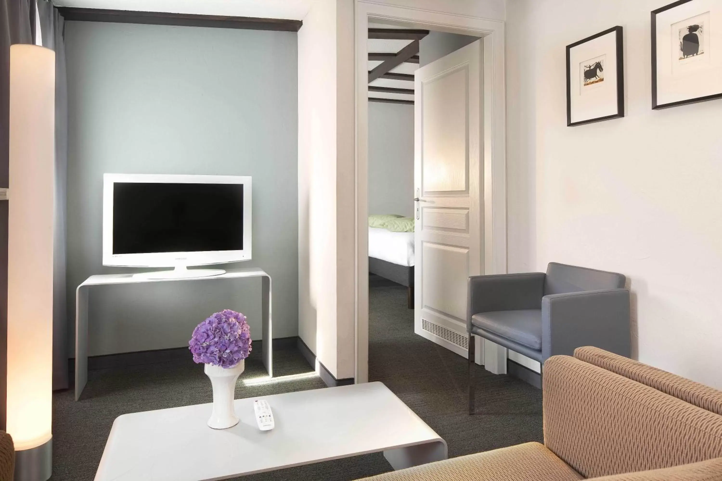 TV and multimedia, TV/Entertainment Center in Hotel Le Colombier