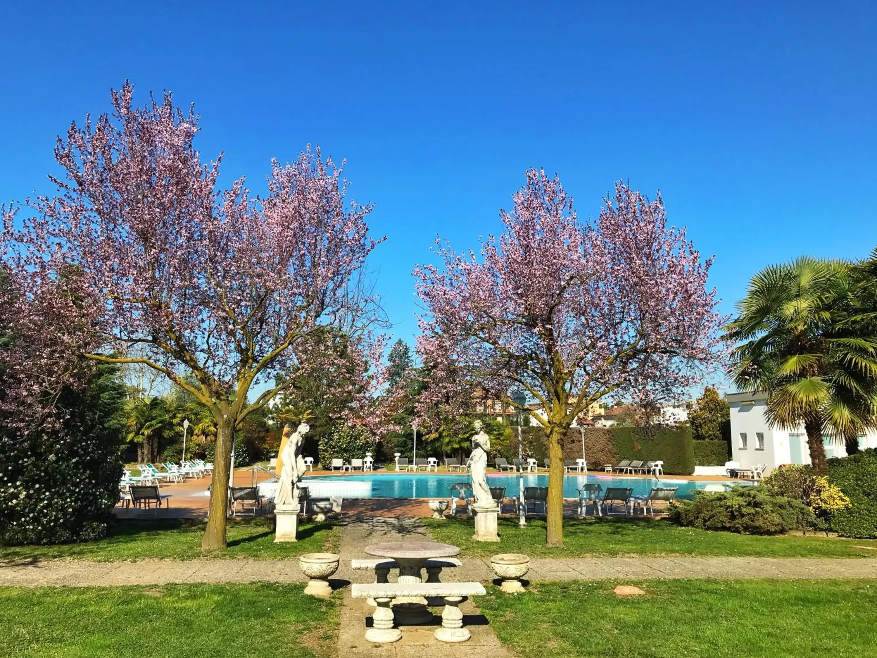 Garden, Swimming Pool in Hotel Des Bains Terme