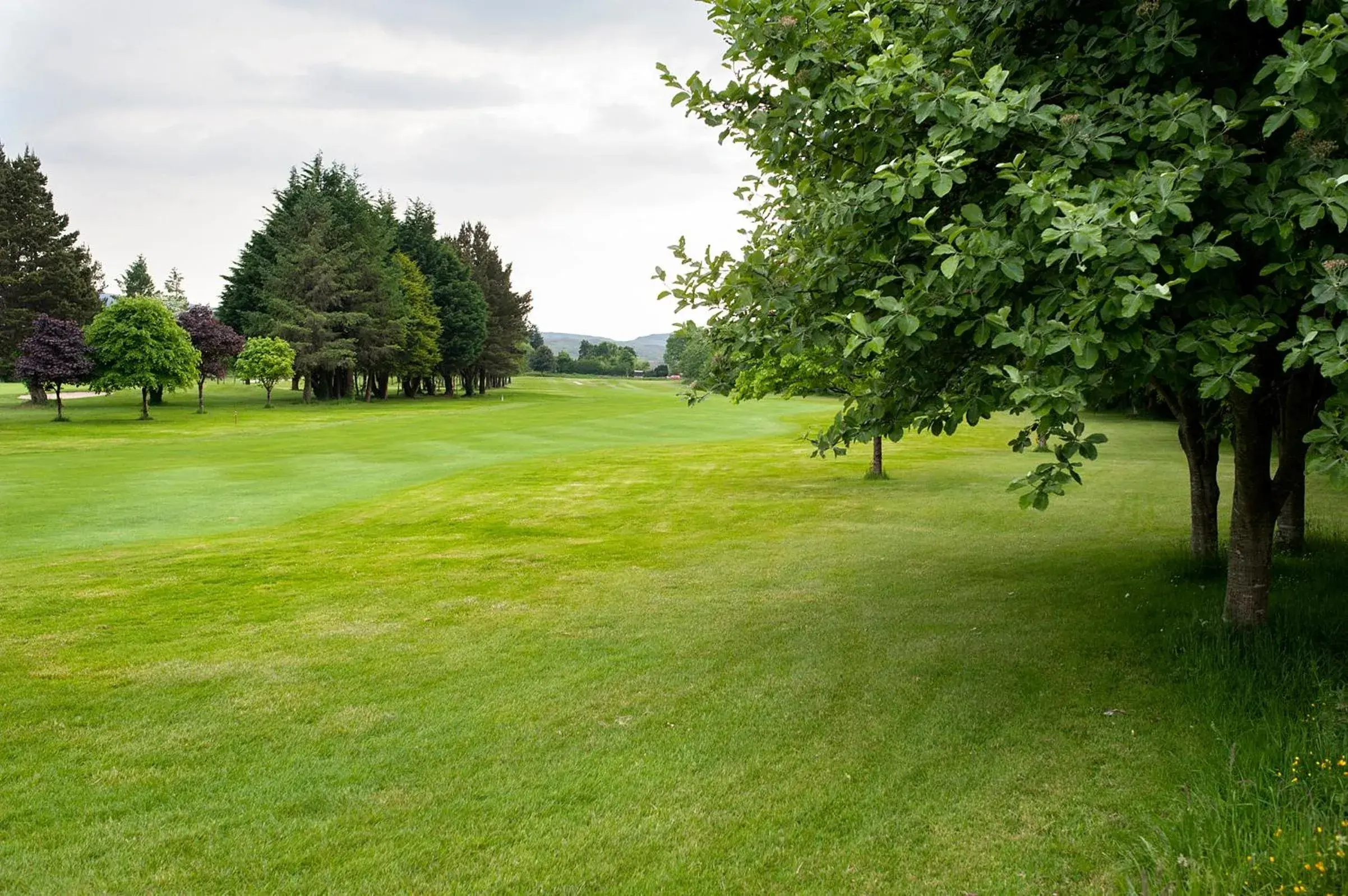 Golfcourse, Garden in The Waterfront House Country Home