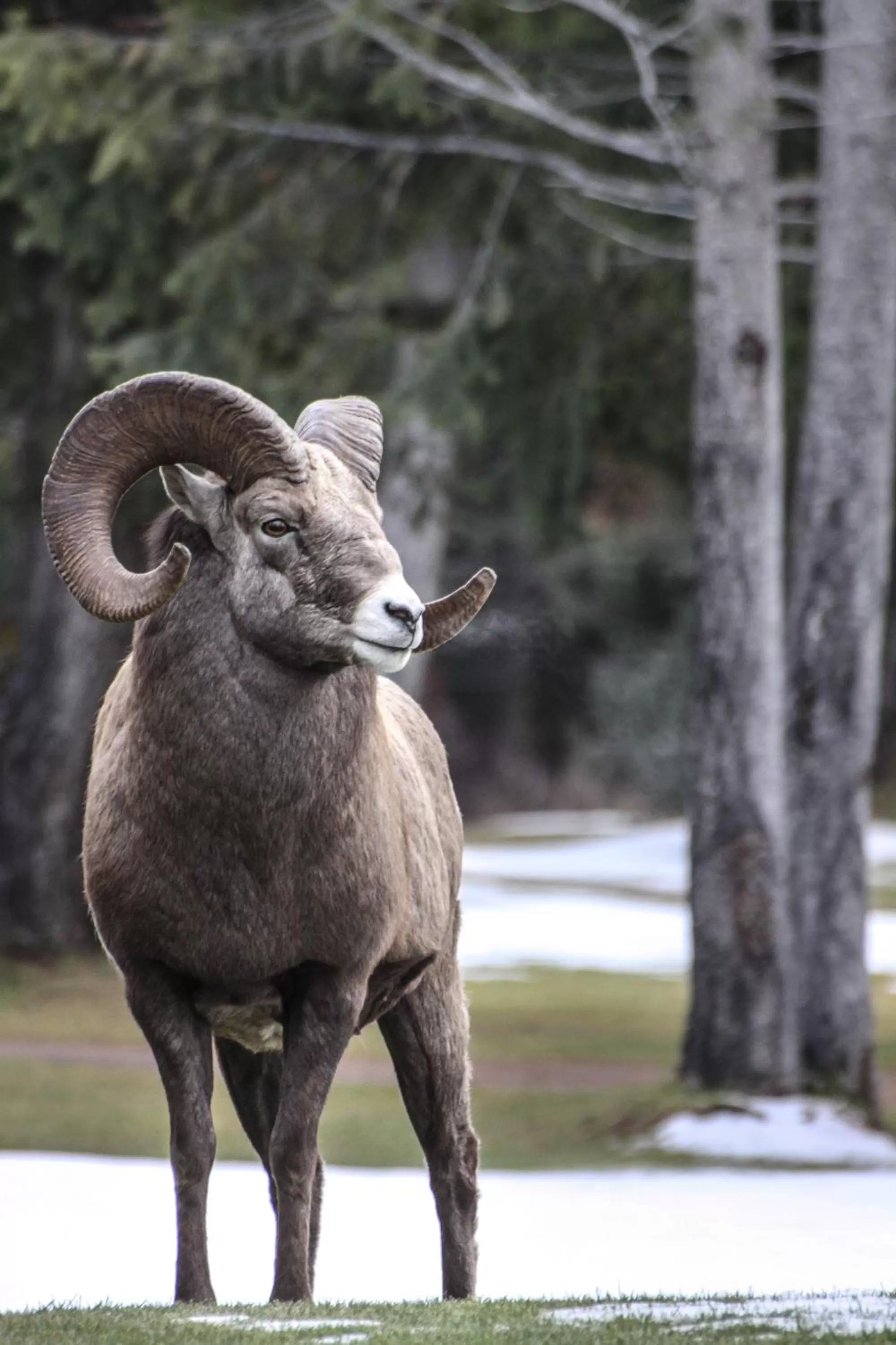 Other in Crystal Springs Lodge