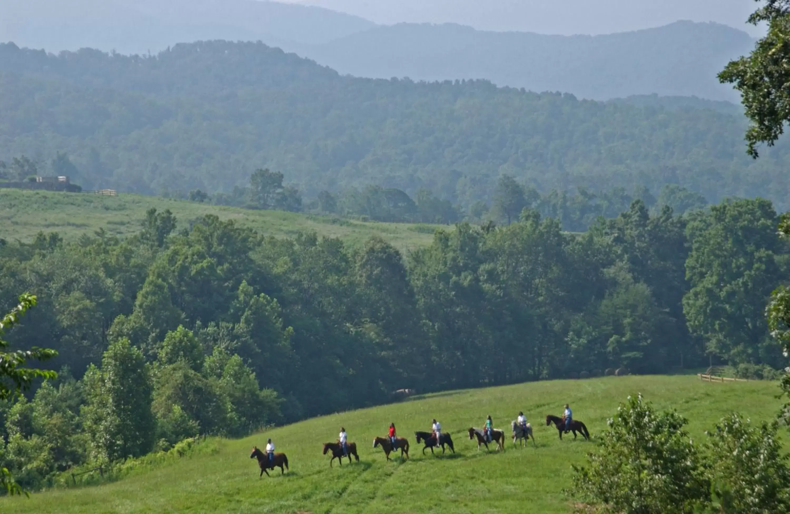 Horse-riding in Brasstown Valley Resort & Spa