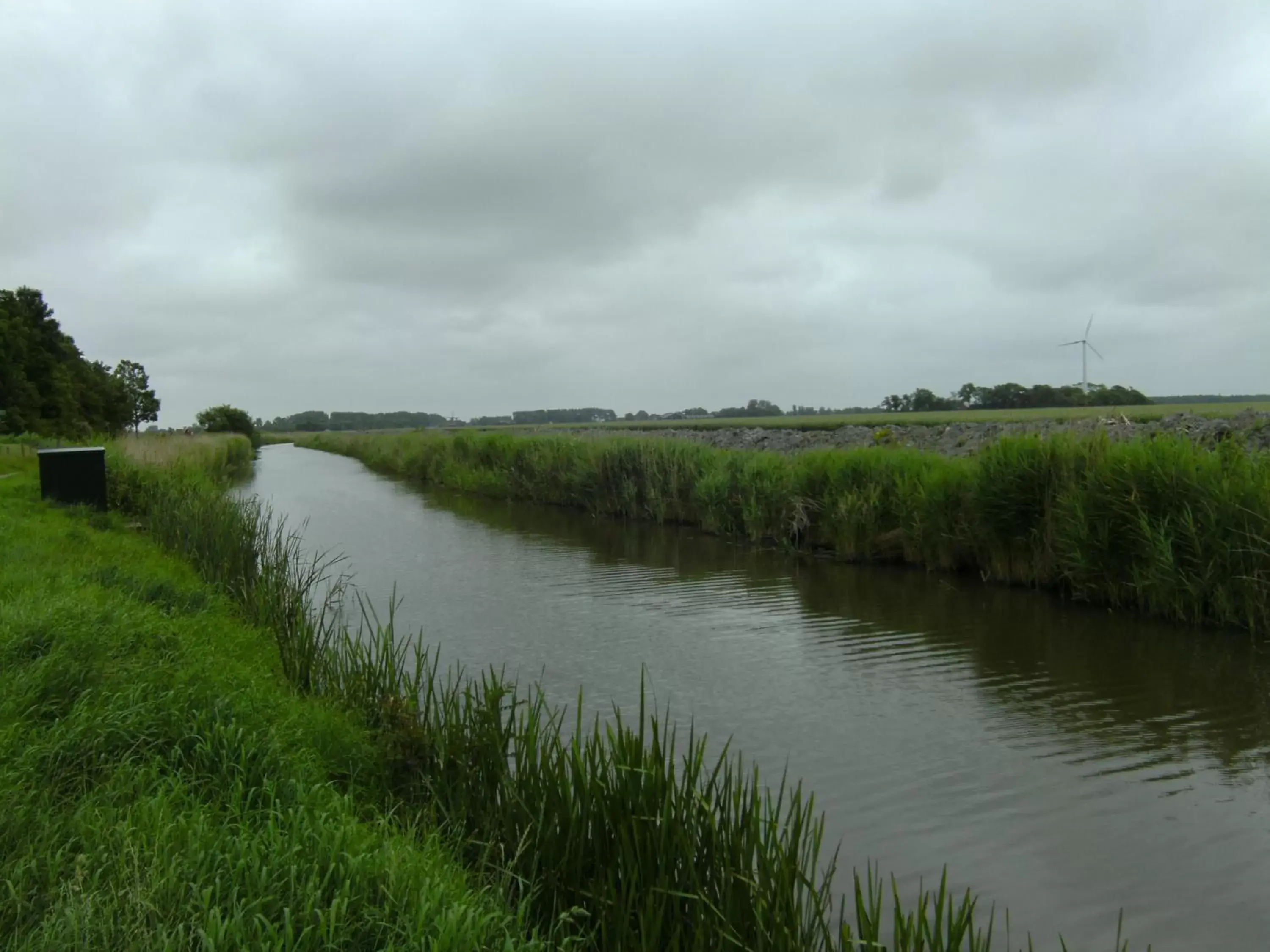 Natural landscape in 't Laaisterplakky