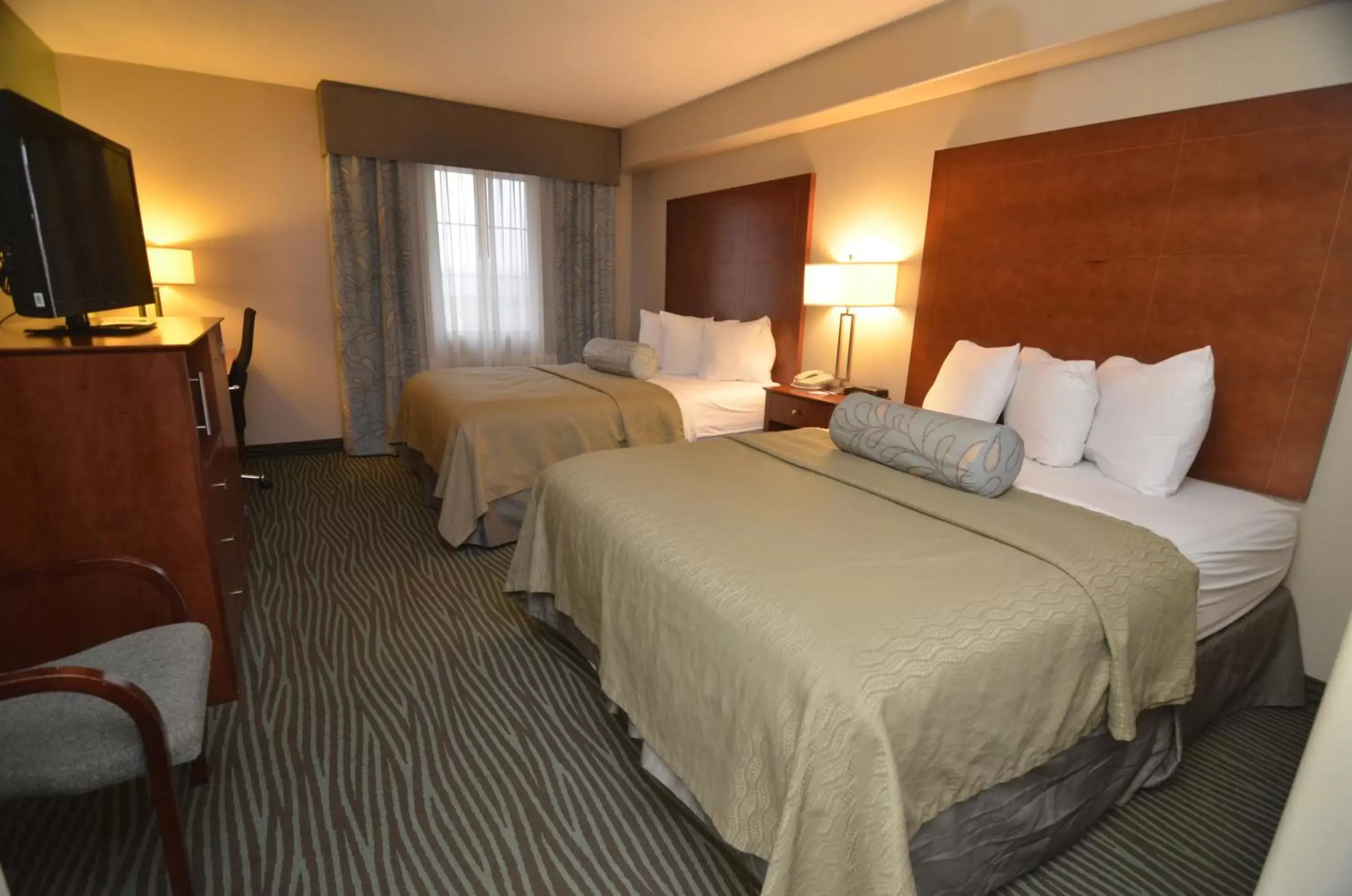 Photo of the whole room, Bed in AmericInn by Wyndham Des Moines Airport