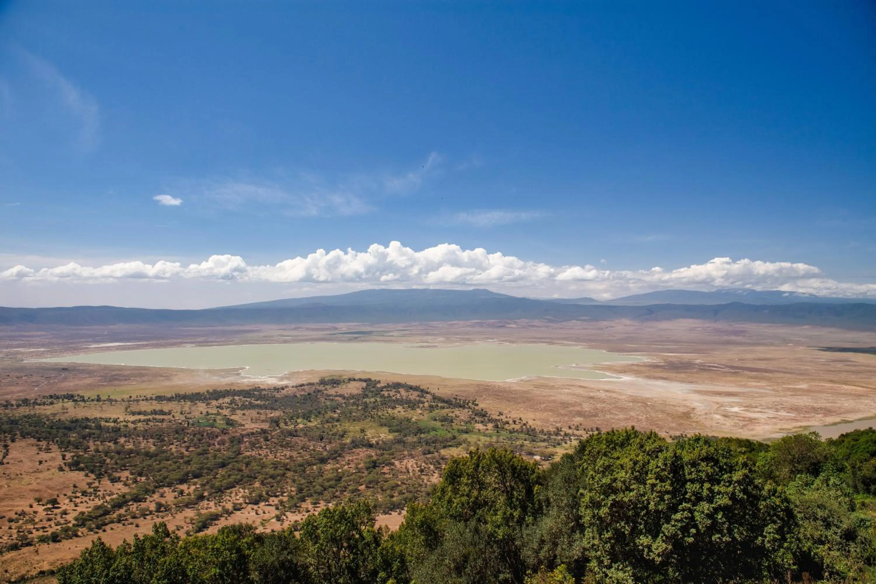 View (from property/room) in Ngorongoro Lodge member of Melia Collection - The Leading Hotels of the World