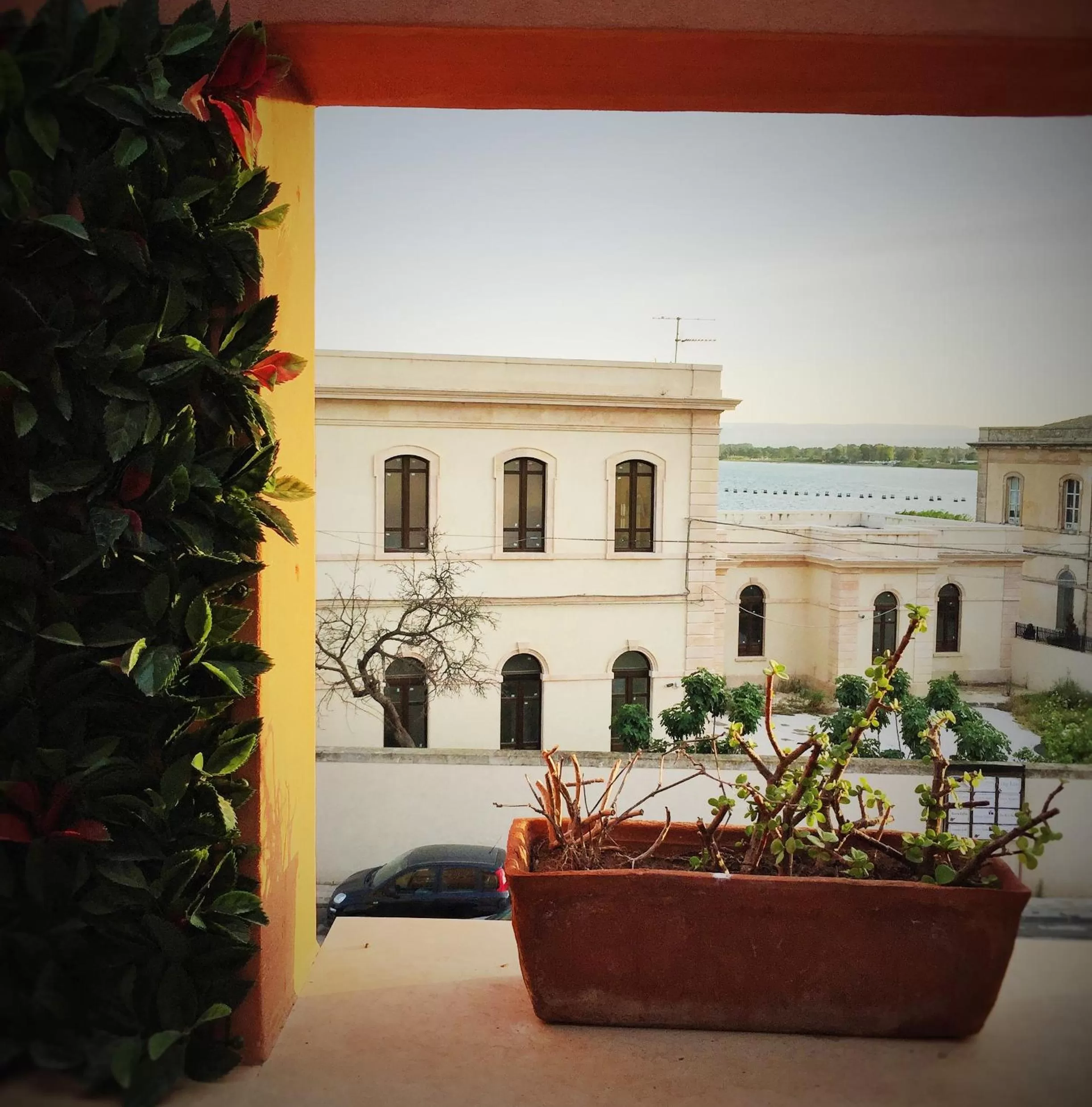 Neighbourhood in Hotel Mediterraneo