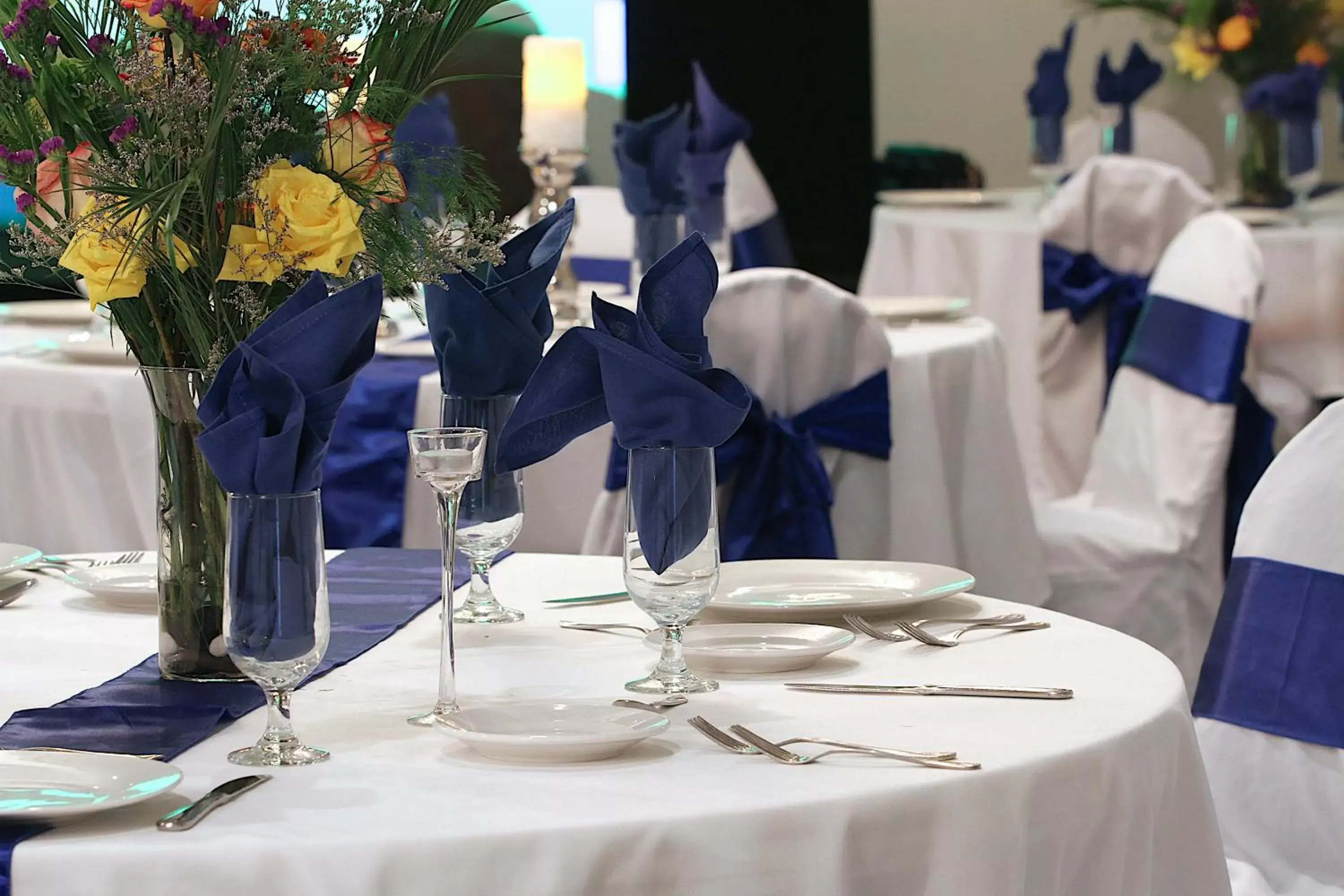 Banquet/Function facilities, Banquet Facilities in Ramada by Wyndham Henderson/Evansville