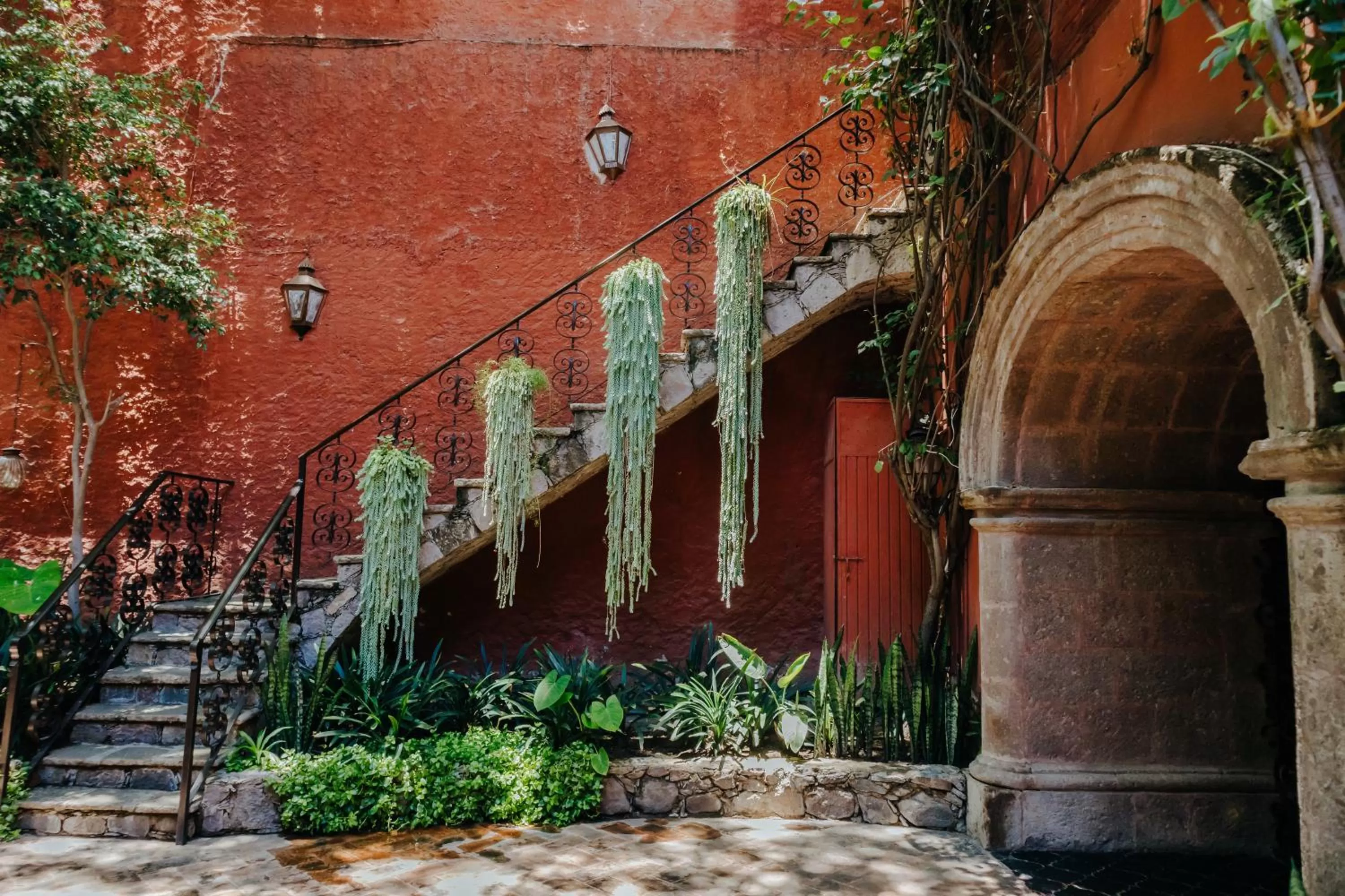 Garden in Casa Luna Hotel Boutique