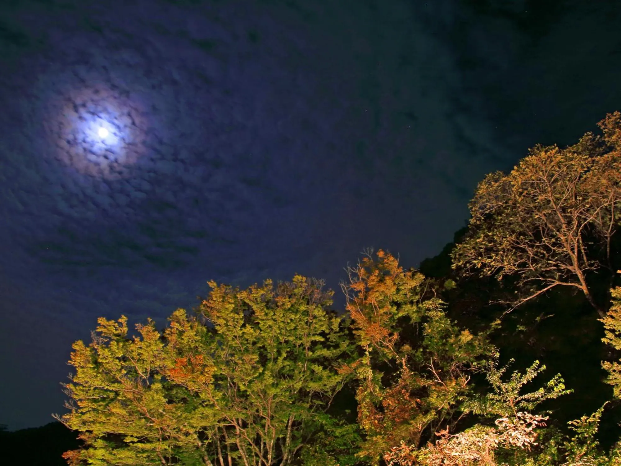 Night in Okuno Hosomichi