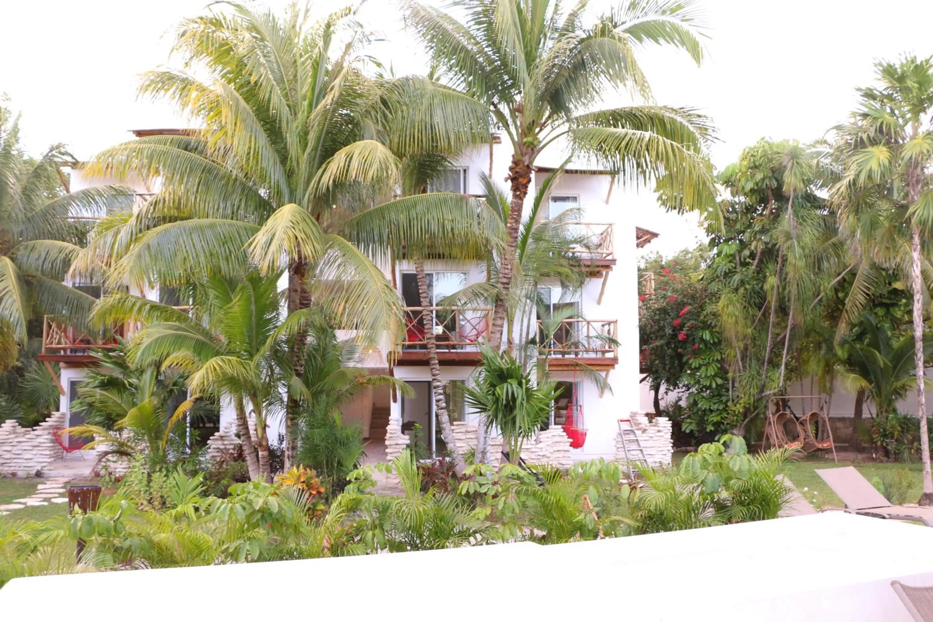 Swimming pool, Property Building in WishTulum