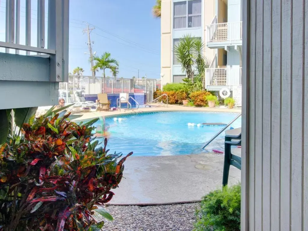 Balcony/Terrace, Swimming Pool in La Internacional Condominiums #210