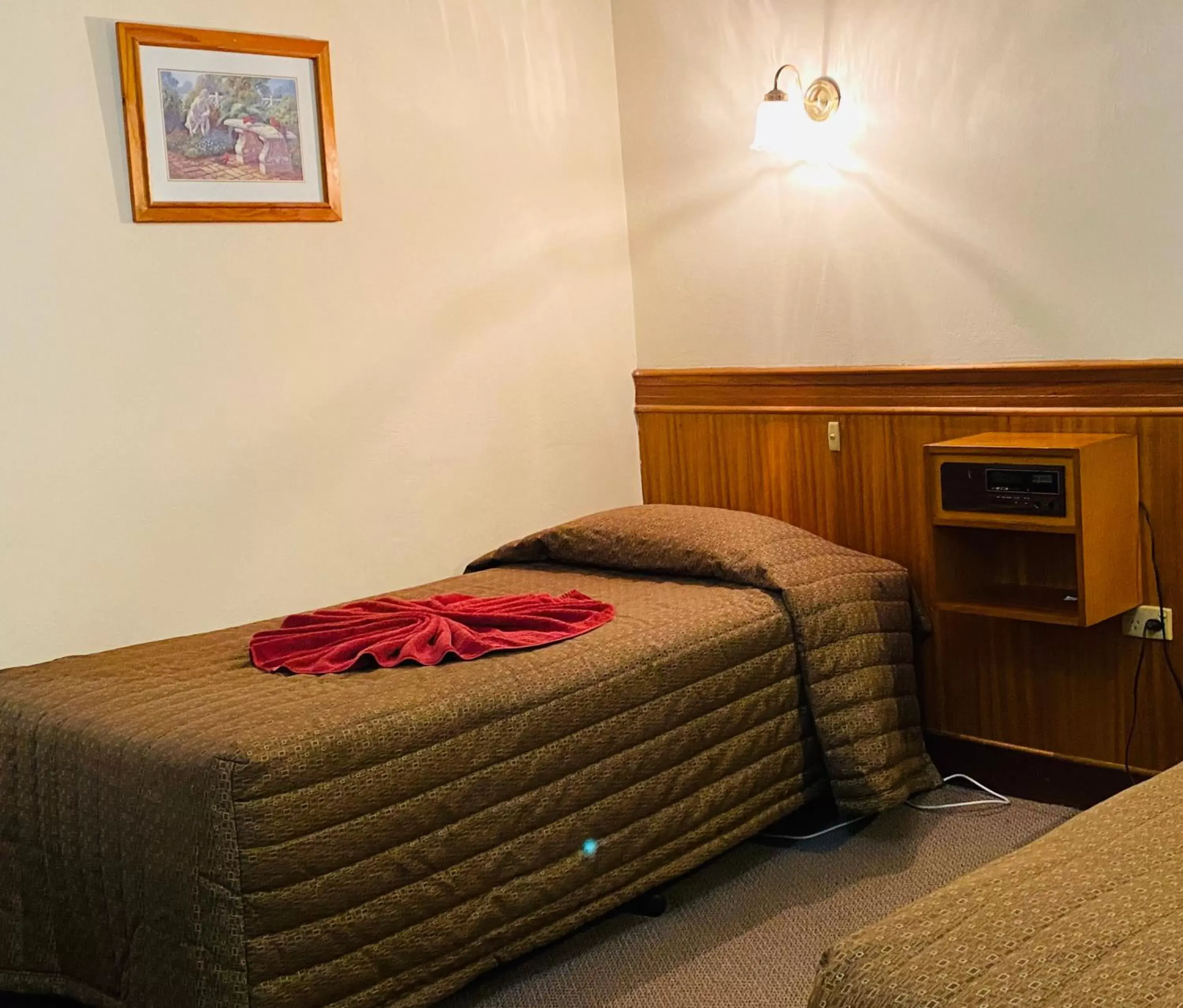 Shower, Bed in County Lodge Motor Inn
