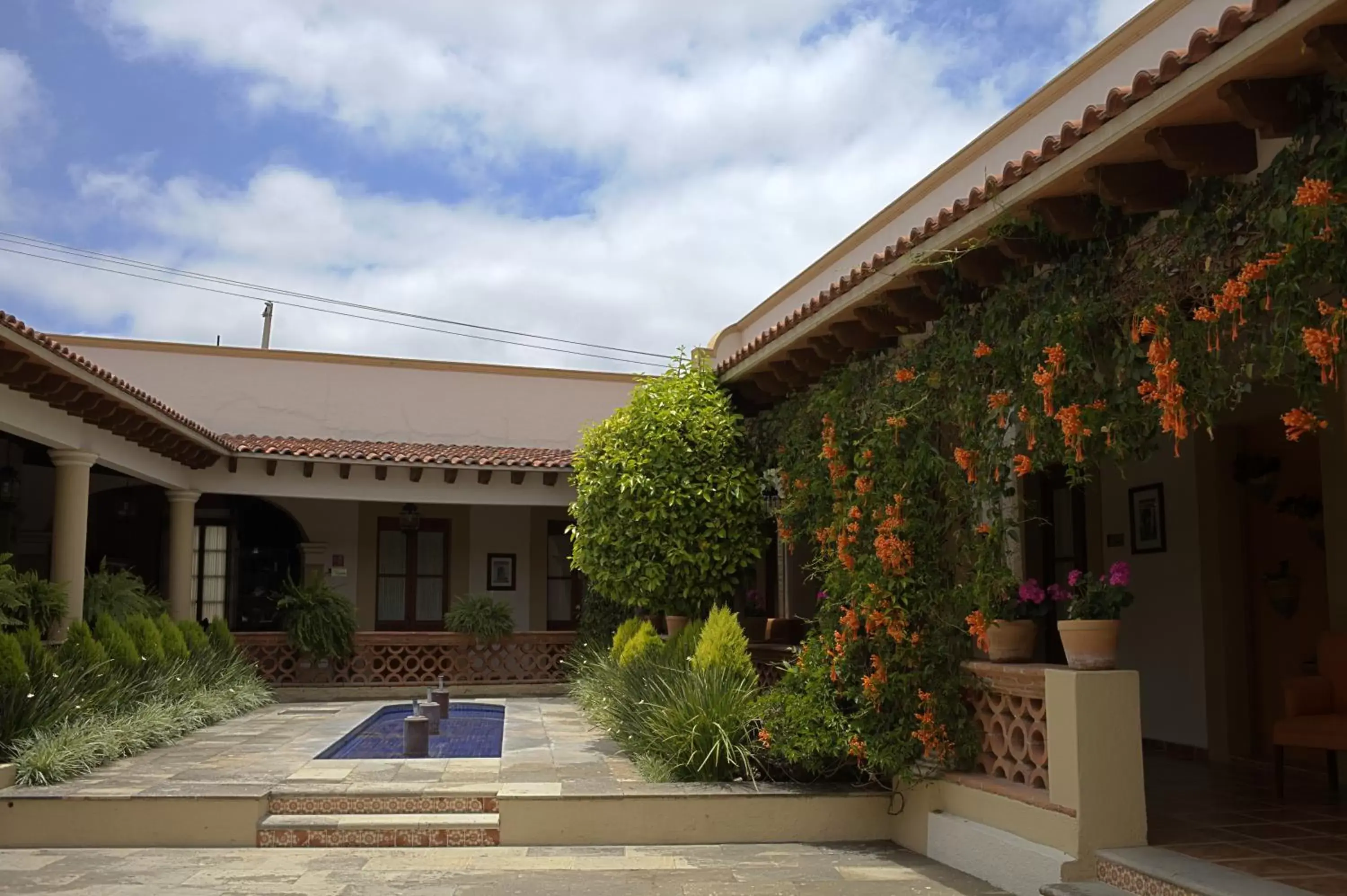 Garden, Swimming Pool in Hotel Boutique La Granja