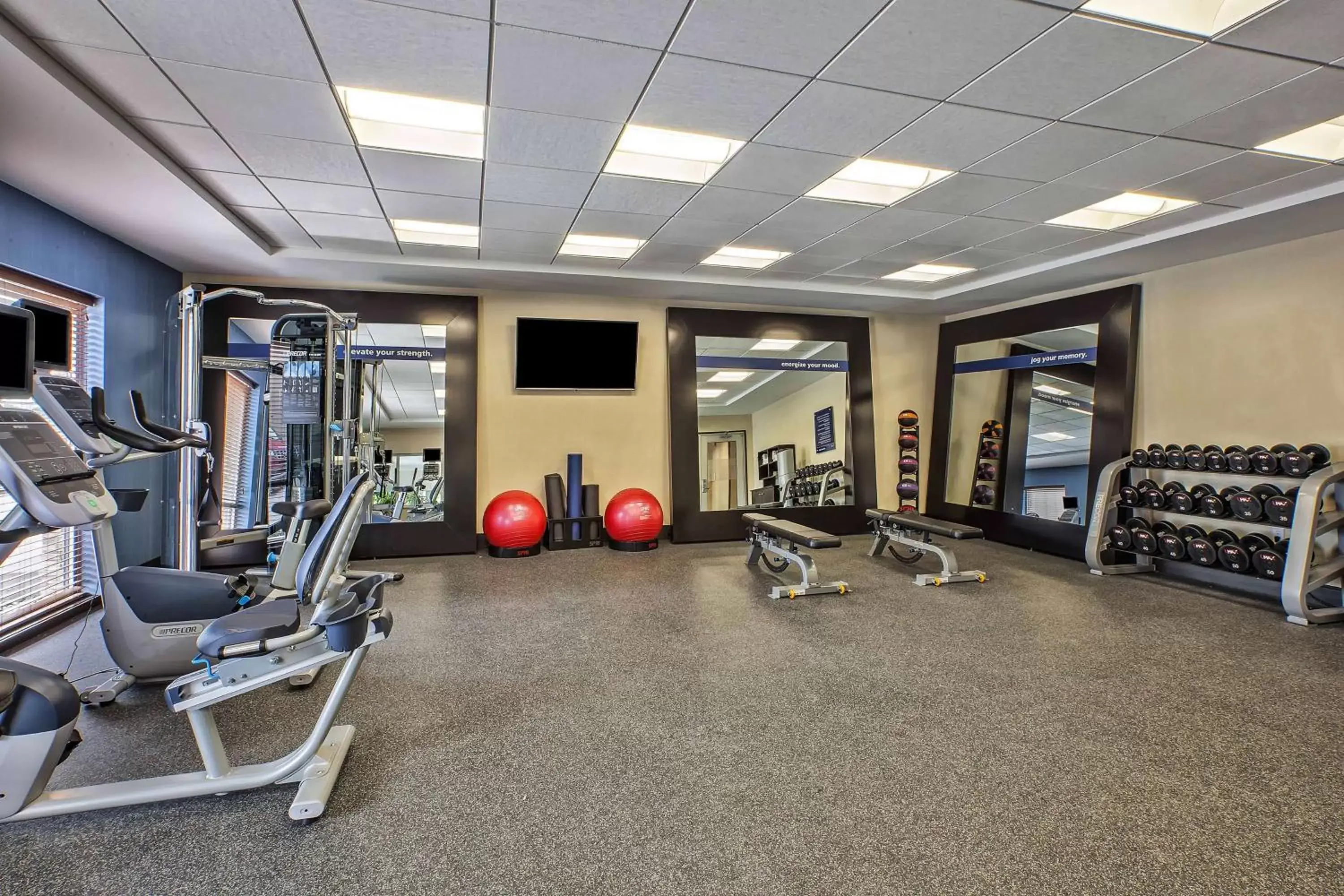 Fitness centre/facilities in Hampton Inn by Hilton West Bloomfield Novi Fitness centre/facilities in Hampton Inn by Hilton West Bloomfield Novi