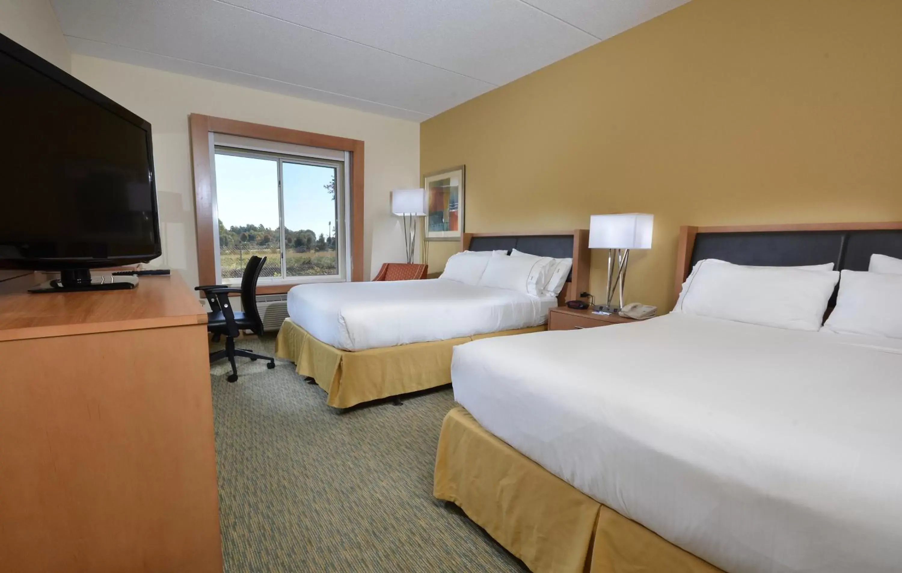 Photo of the whole room, Bed in Holiday Inn Express Hotel & Suites High Point South, an IHG Hotel