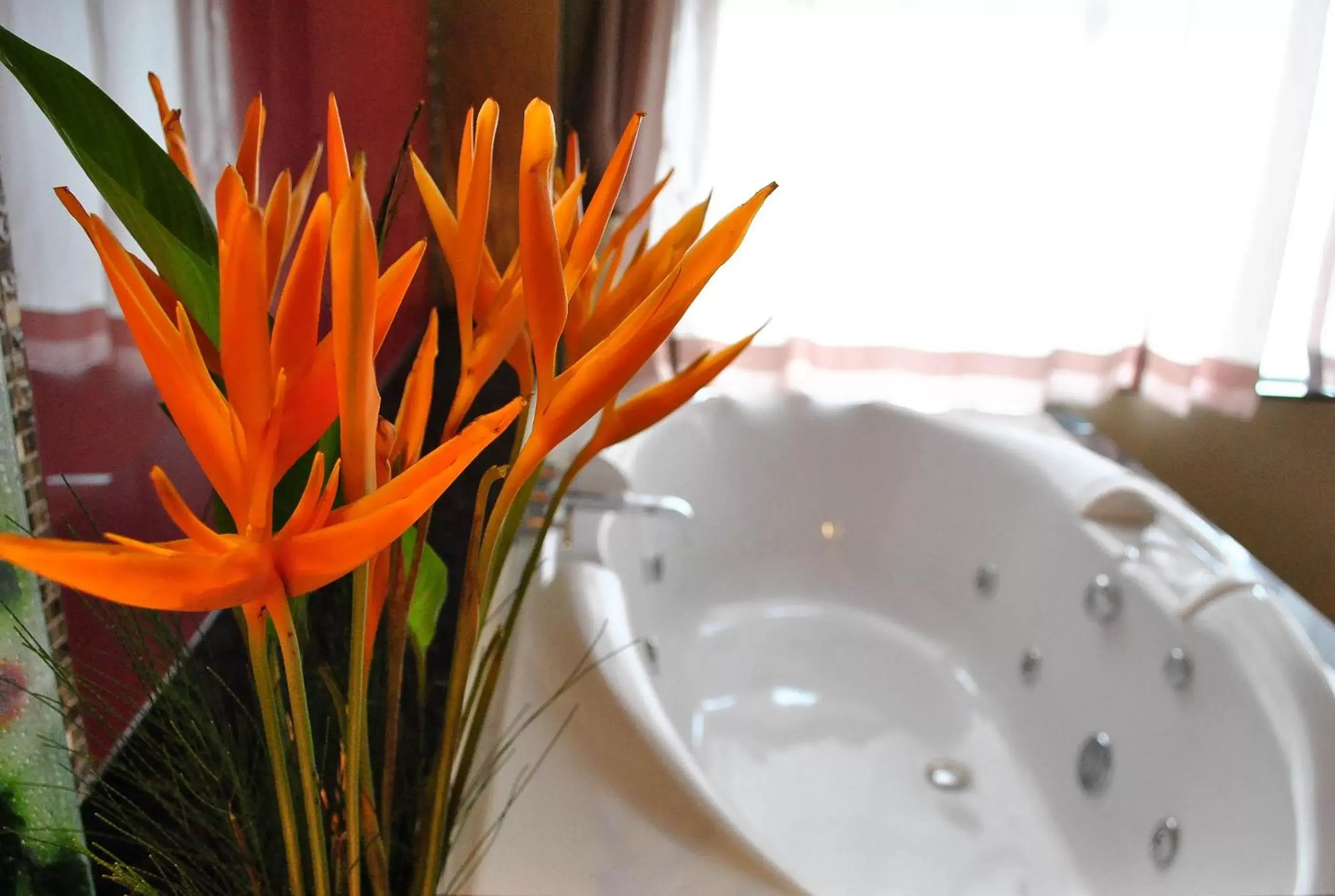 Bathroom in Hotel Elizabeth Cebu