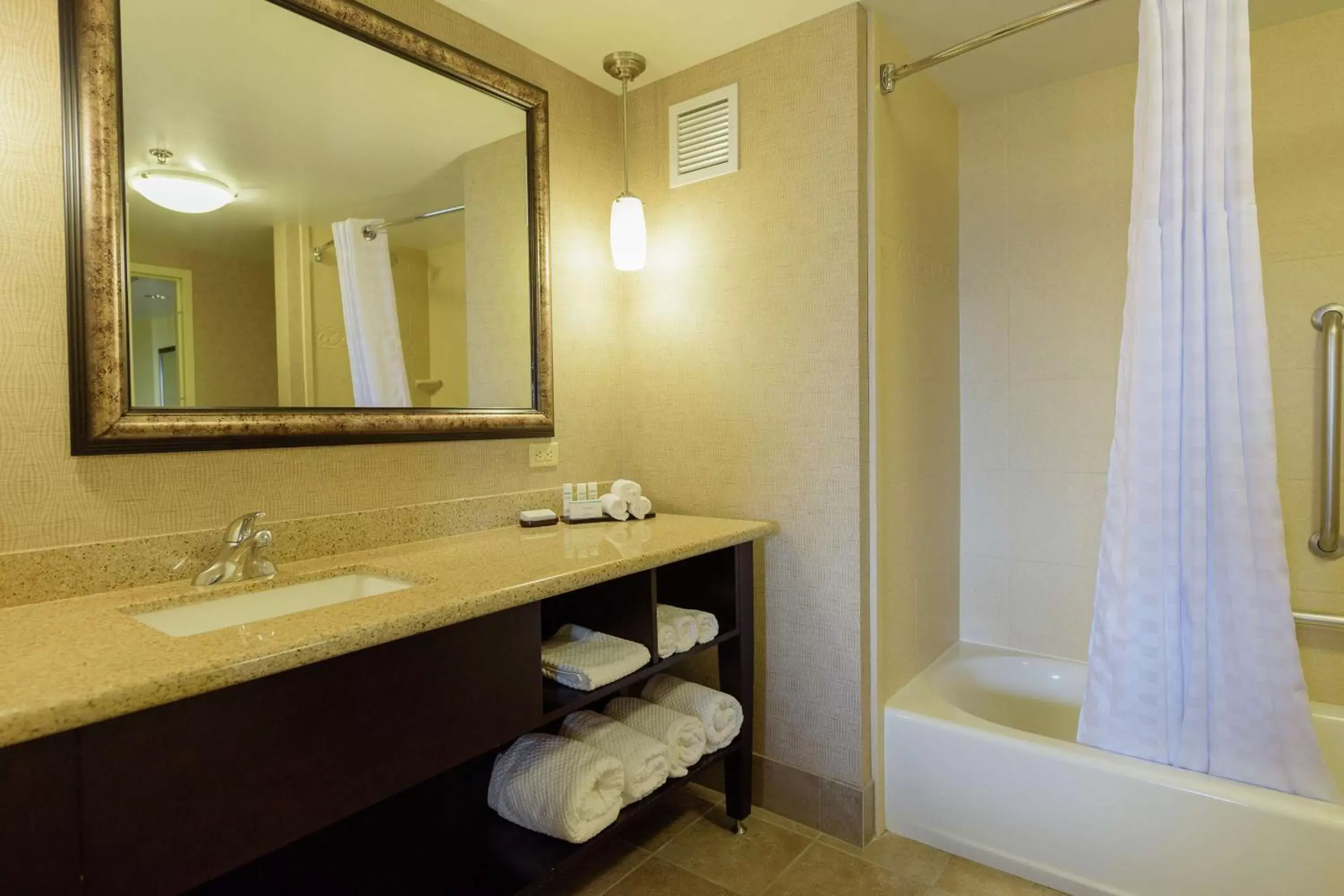 Bathroom in Embassy Suites by Hilton Minneapolis North
