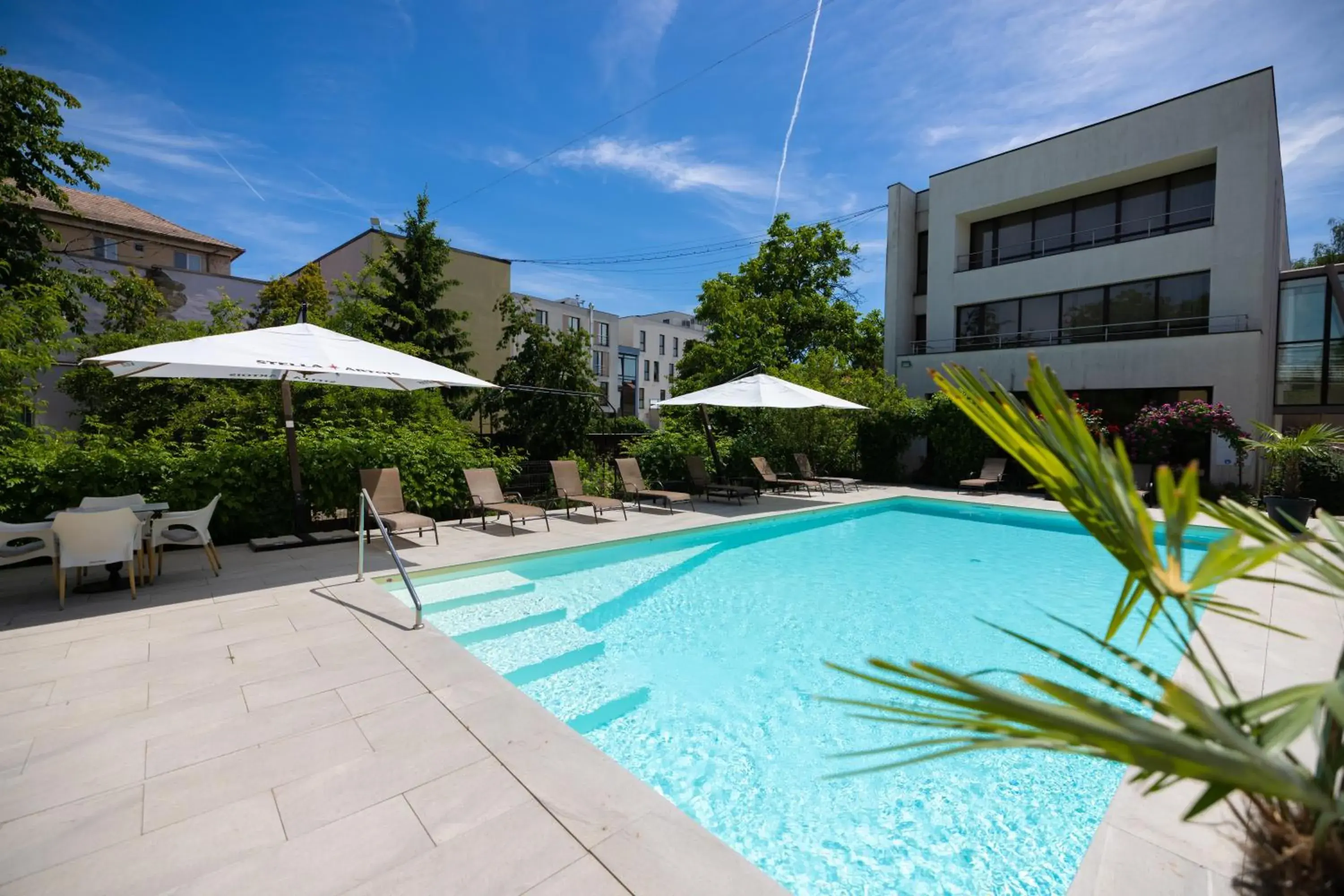 Swimming Pool in Hotel Perla