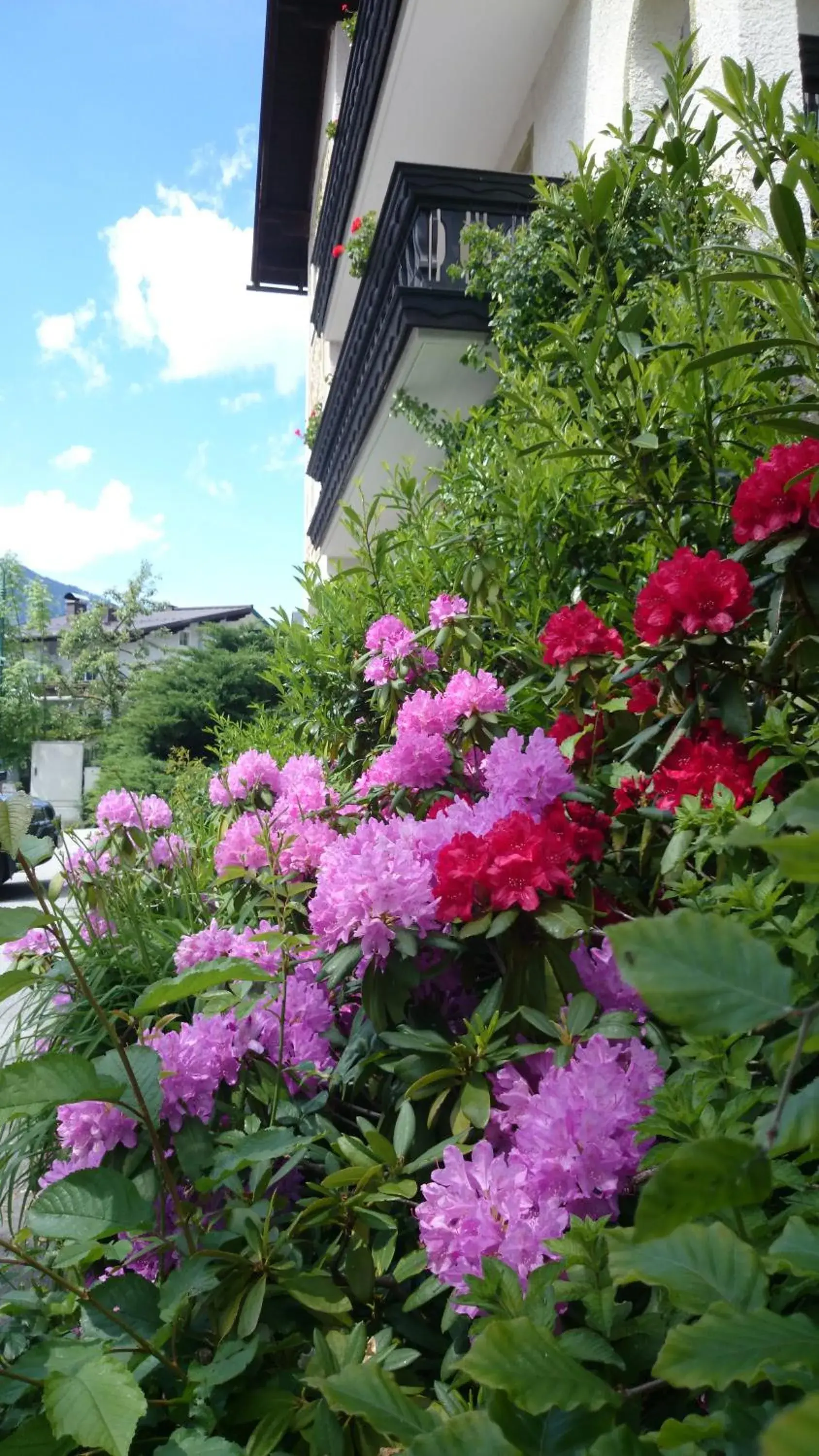 Garden, Property Building in Hotel zum Toni