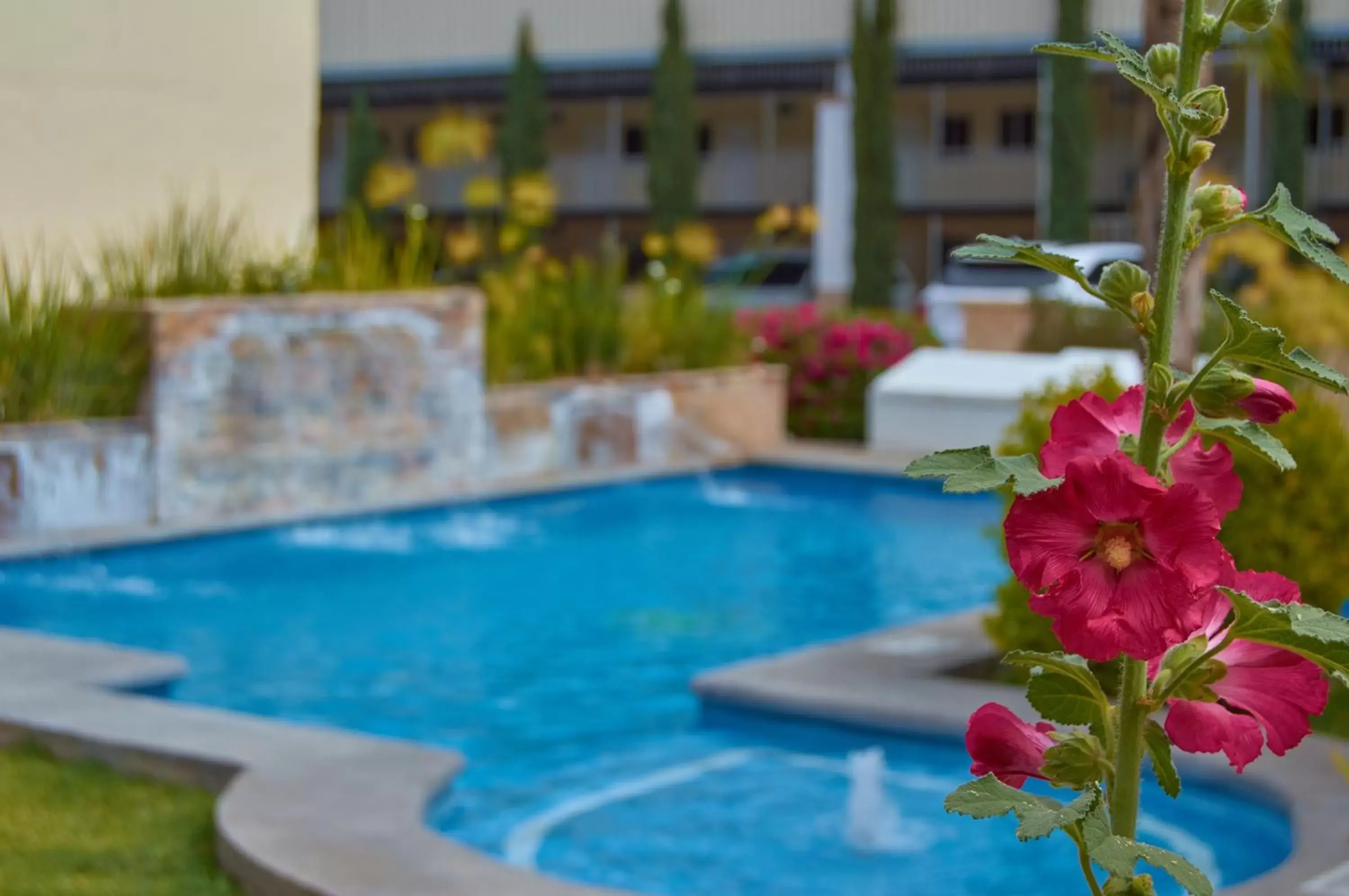 Swimming Pool in Hotel del Alba Inn & Suites