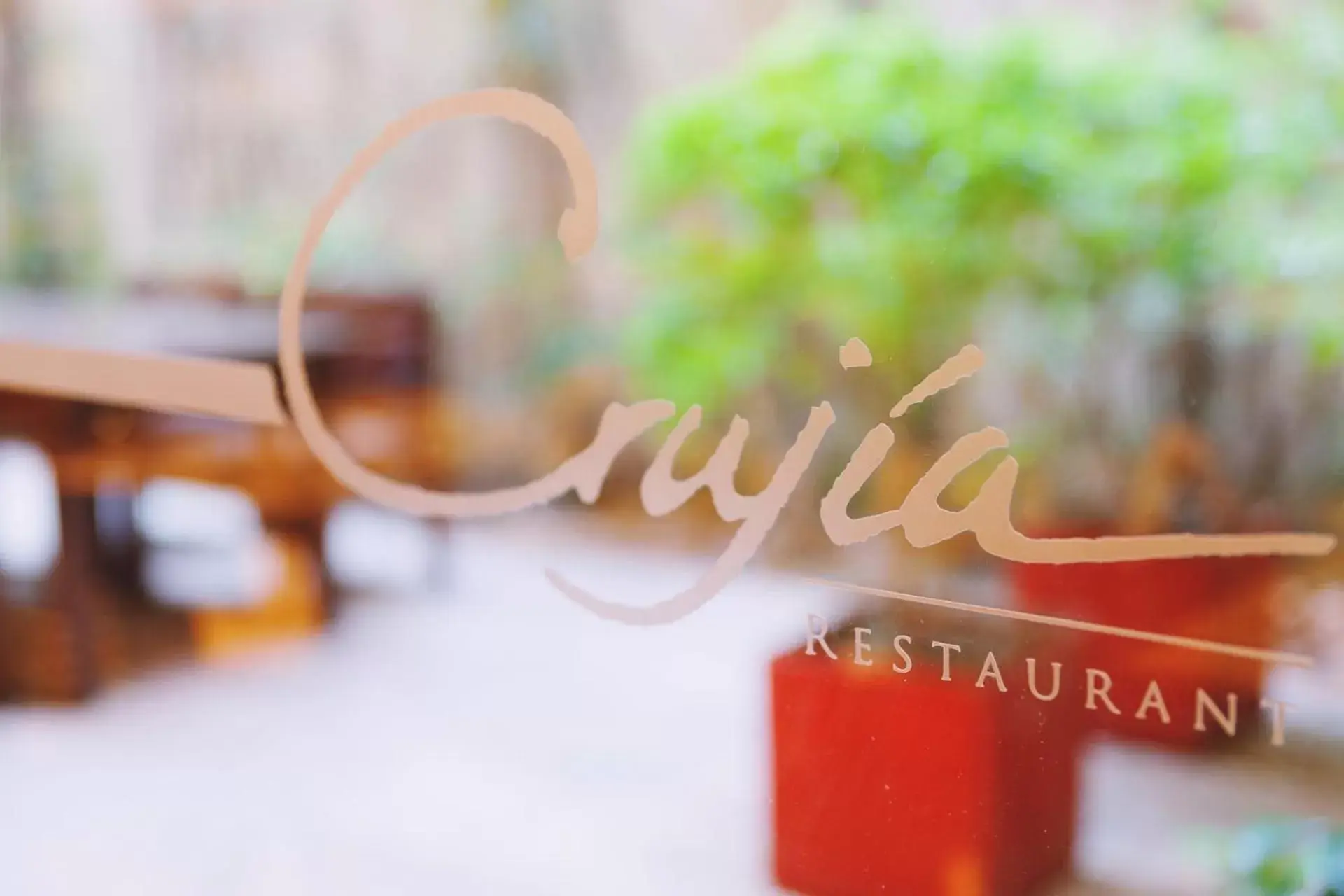 Restaurant/places to eat in Ribera Sur Hotel Restaurant/places to eat in Ribera Sur Hotel