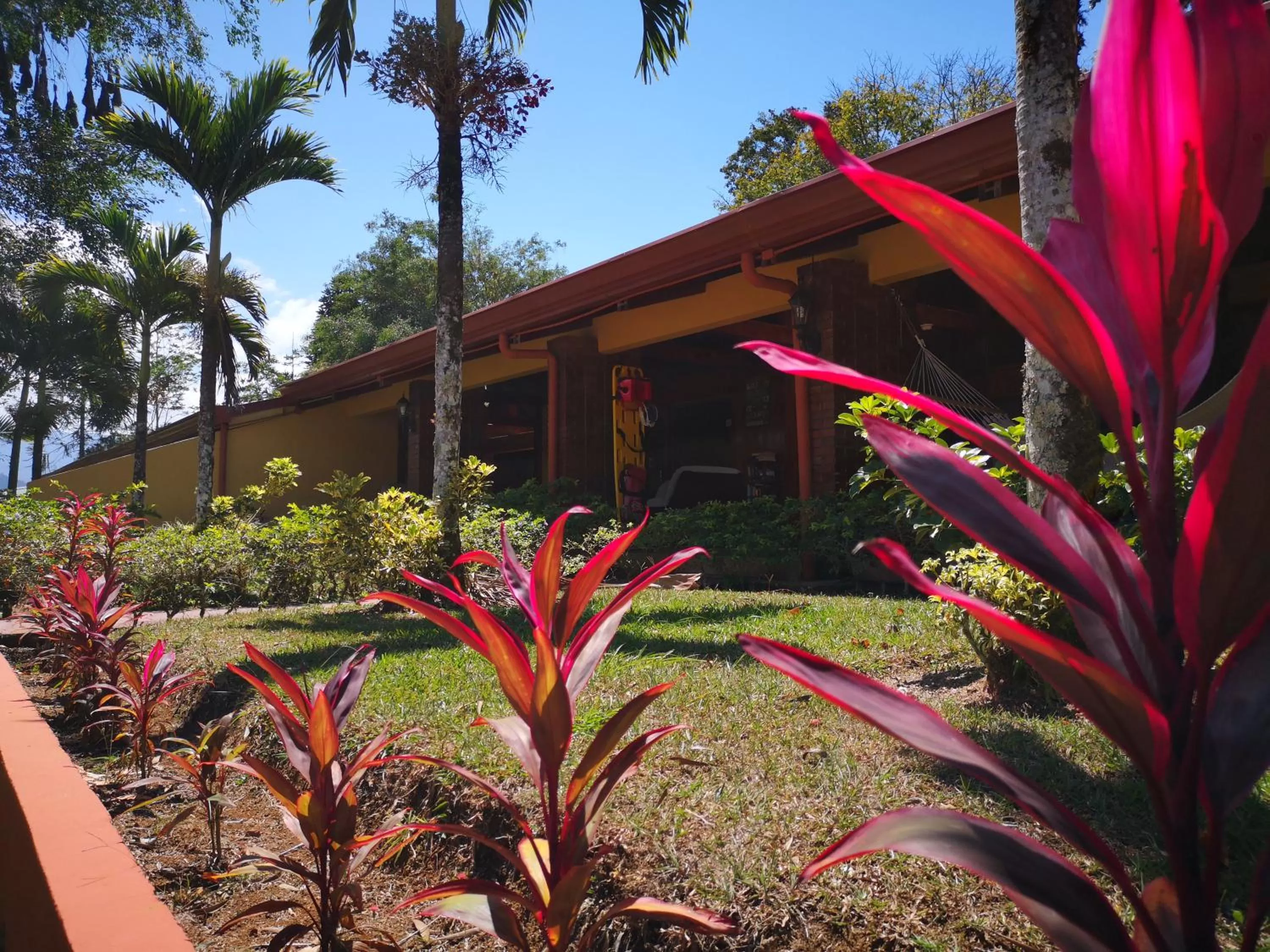 Property building in Hotel Villa Florencia