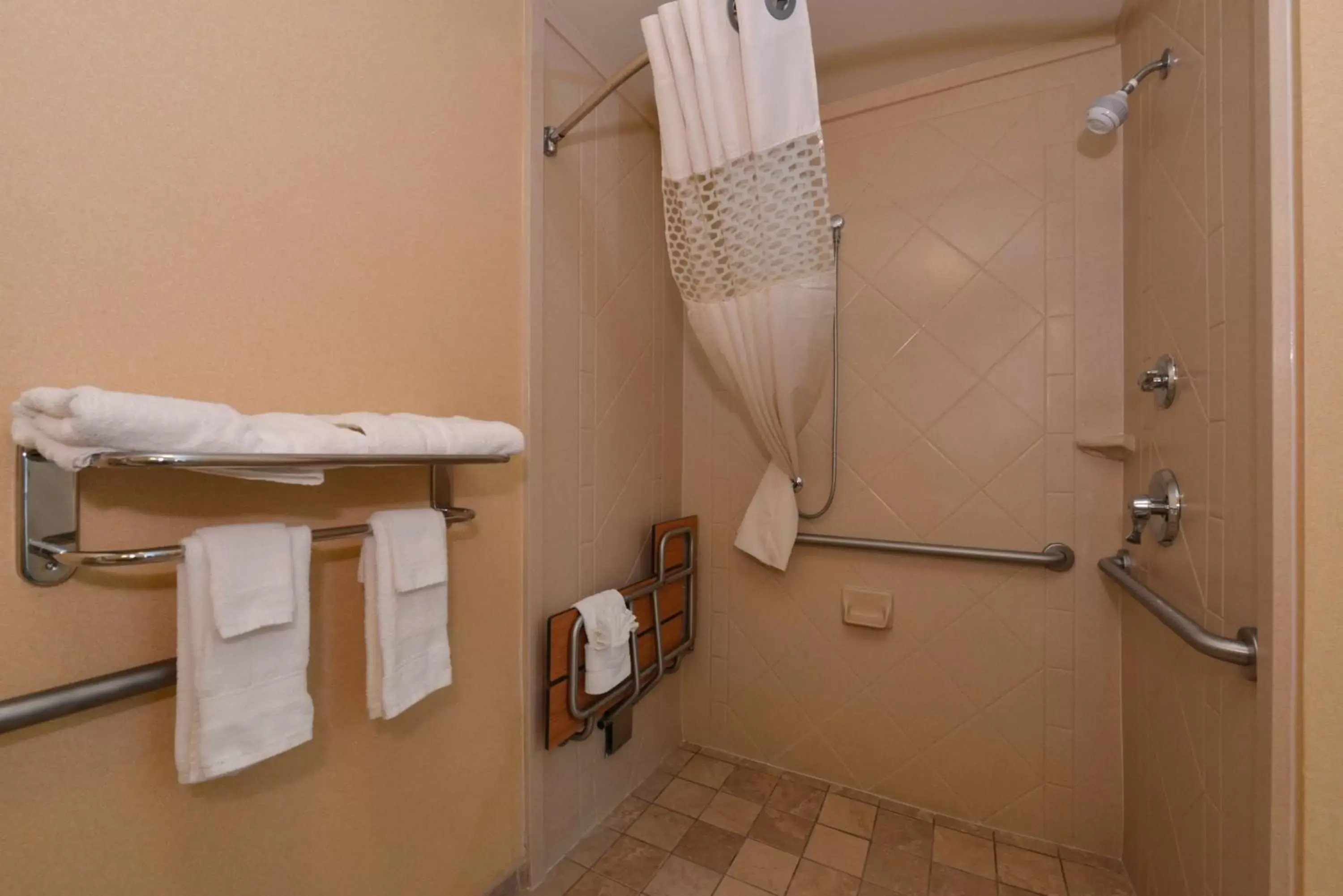 Bathroom in Hampton Inn & Suites Tampa-East/Casino/Fairgrounds