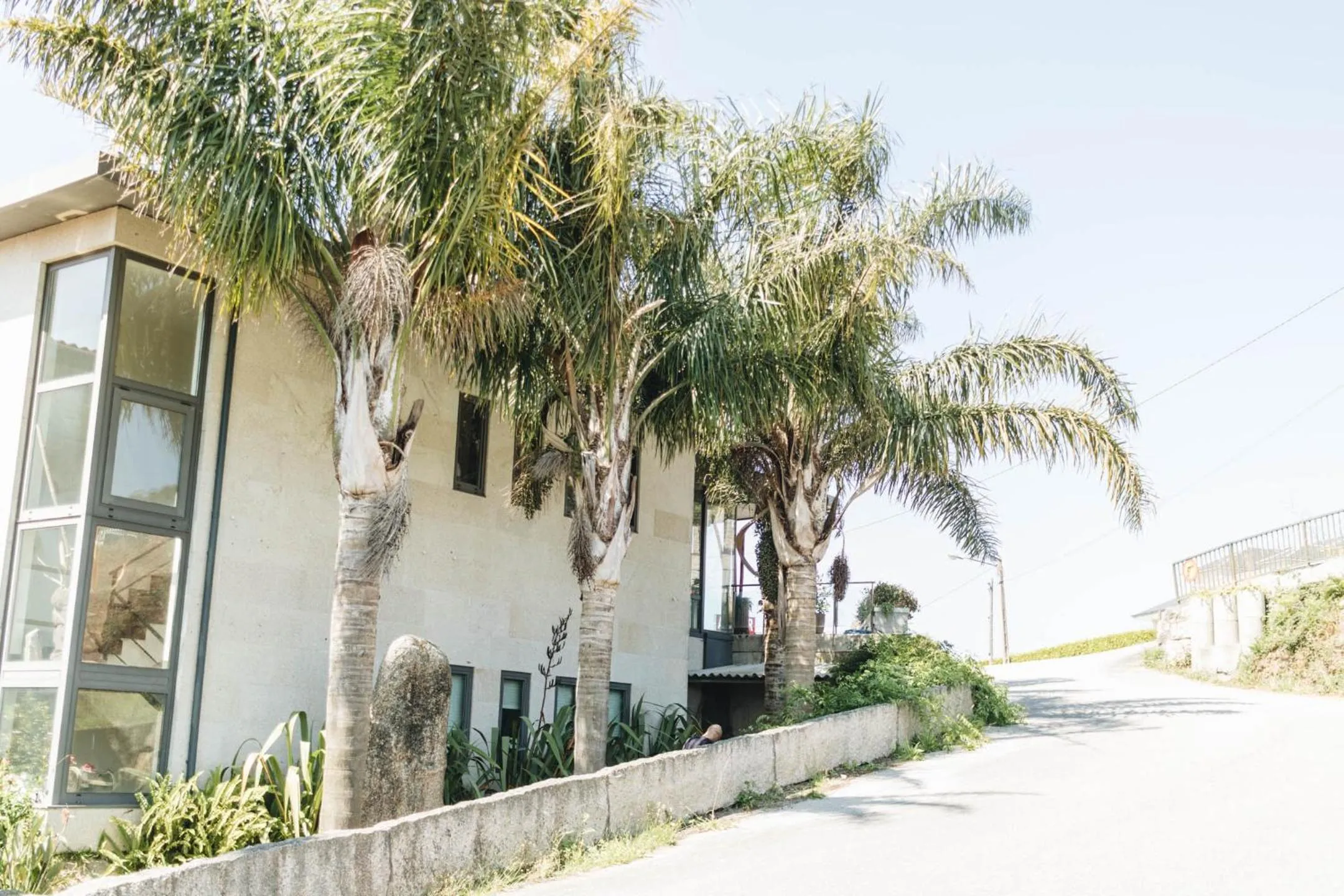 Area and facilities in Peregrina Hotel