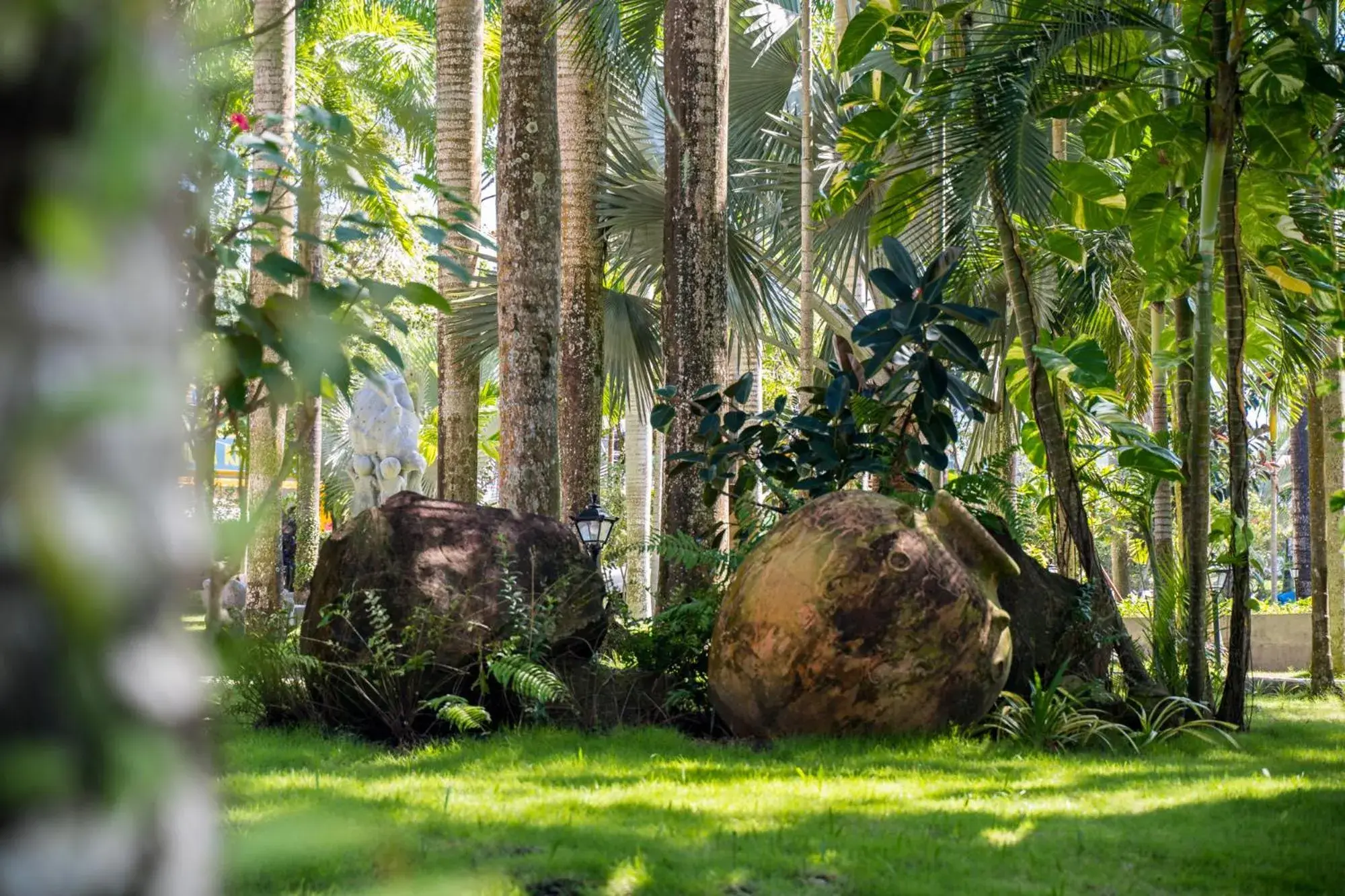 Natural landscape, Garden in L'Azure Resort and Spa