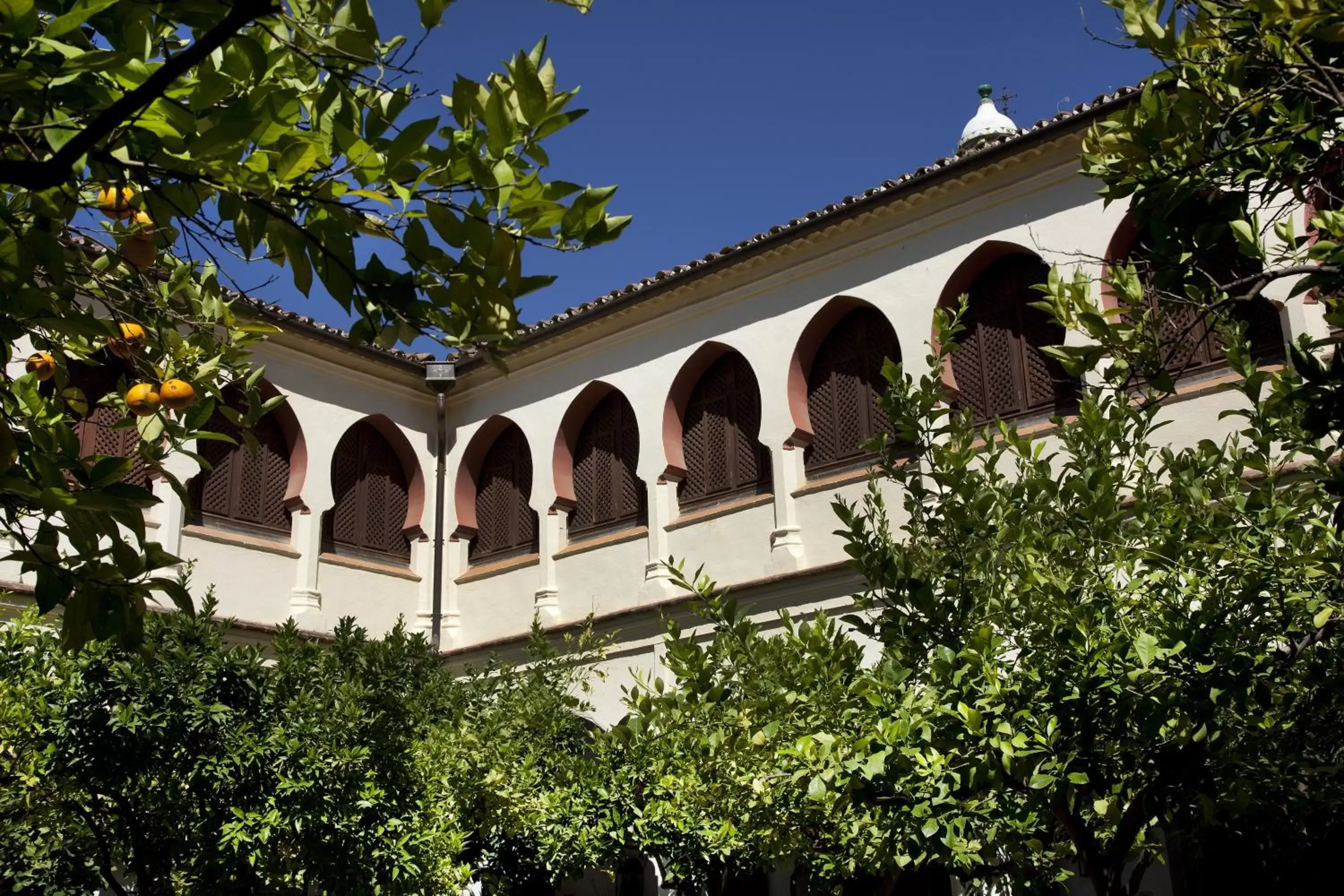 Spring, Property Building in Parador de Guadalupe