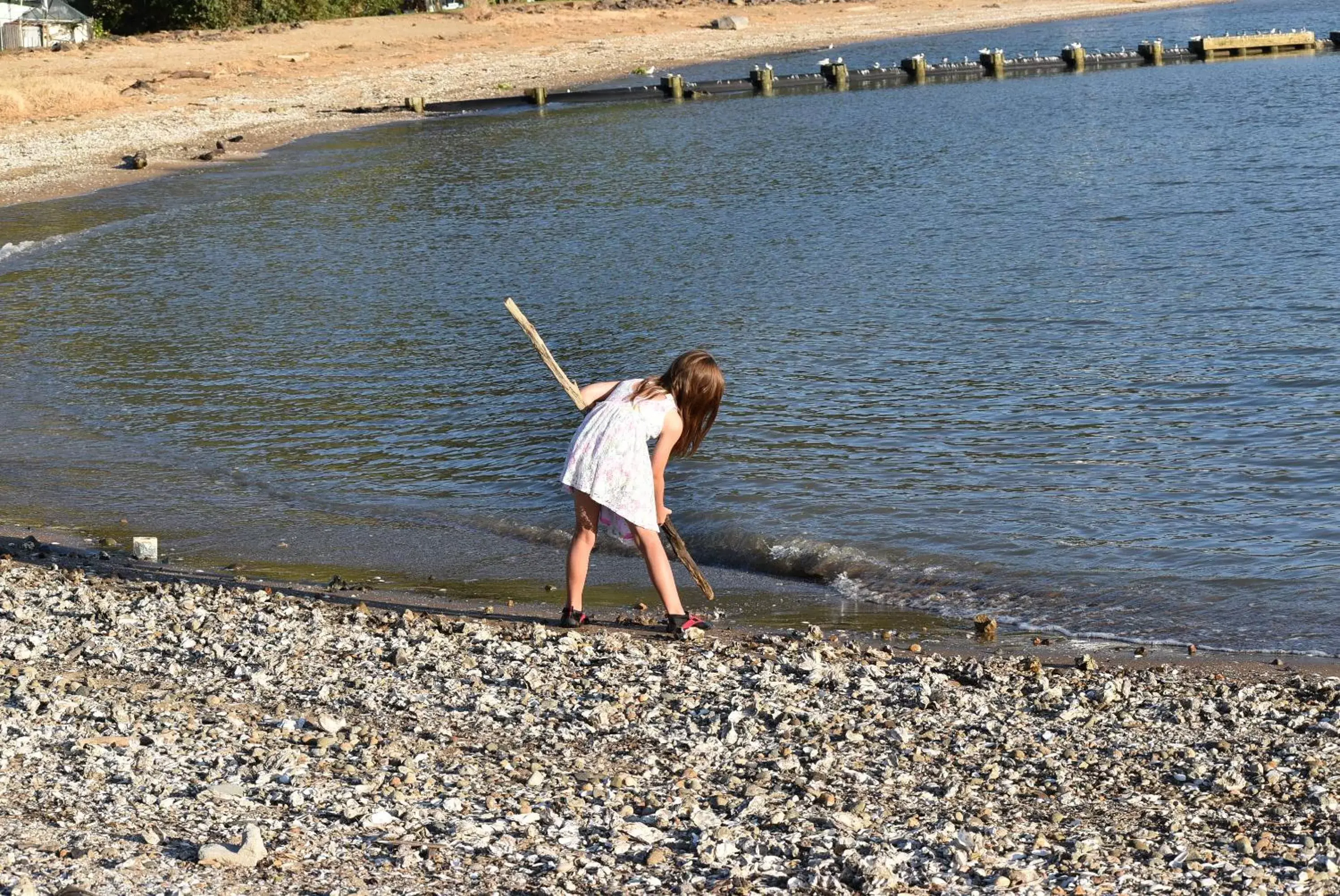 Beach in Coastal Motor Lodge