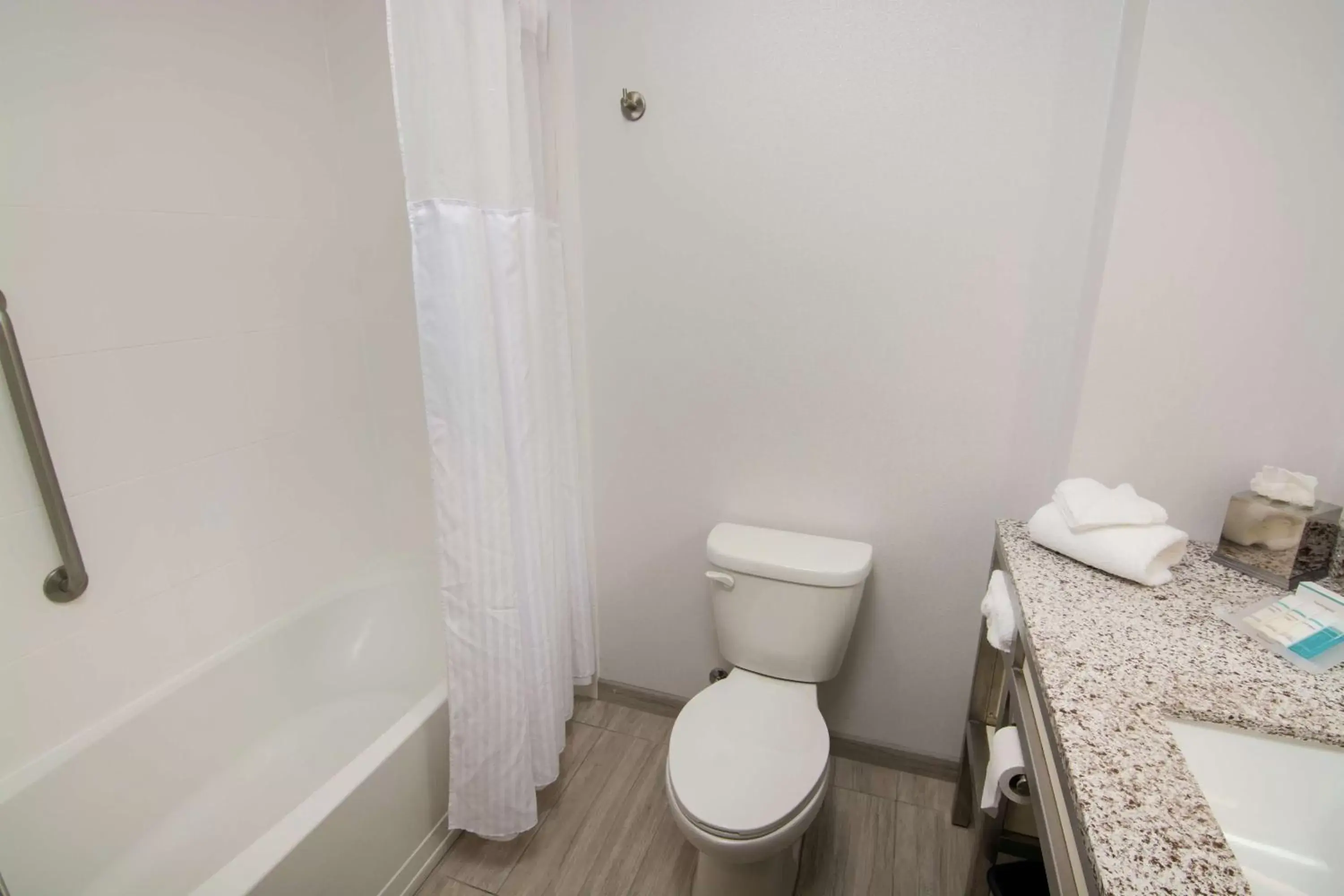 Bathroom in Hilton Garden Inn Tampa Suncoast Parkway
