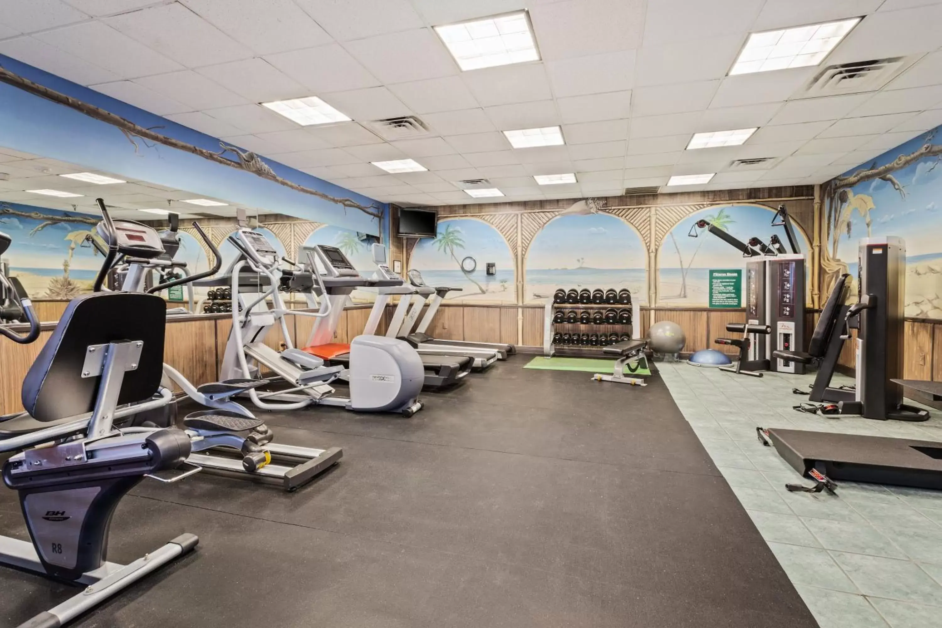 Fitness centre/facilities, Fitness Center/Facilities in Holiday Inn & Suites Clearwater Beach S-Harbourside