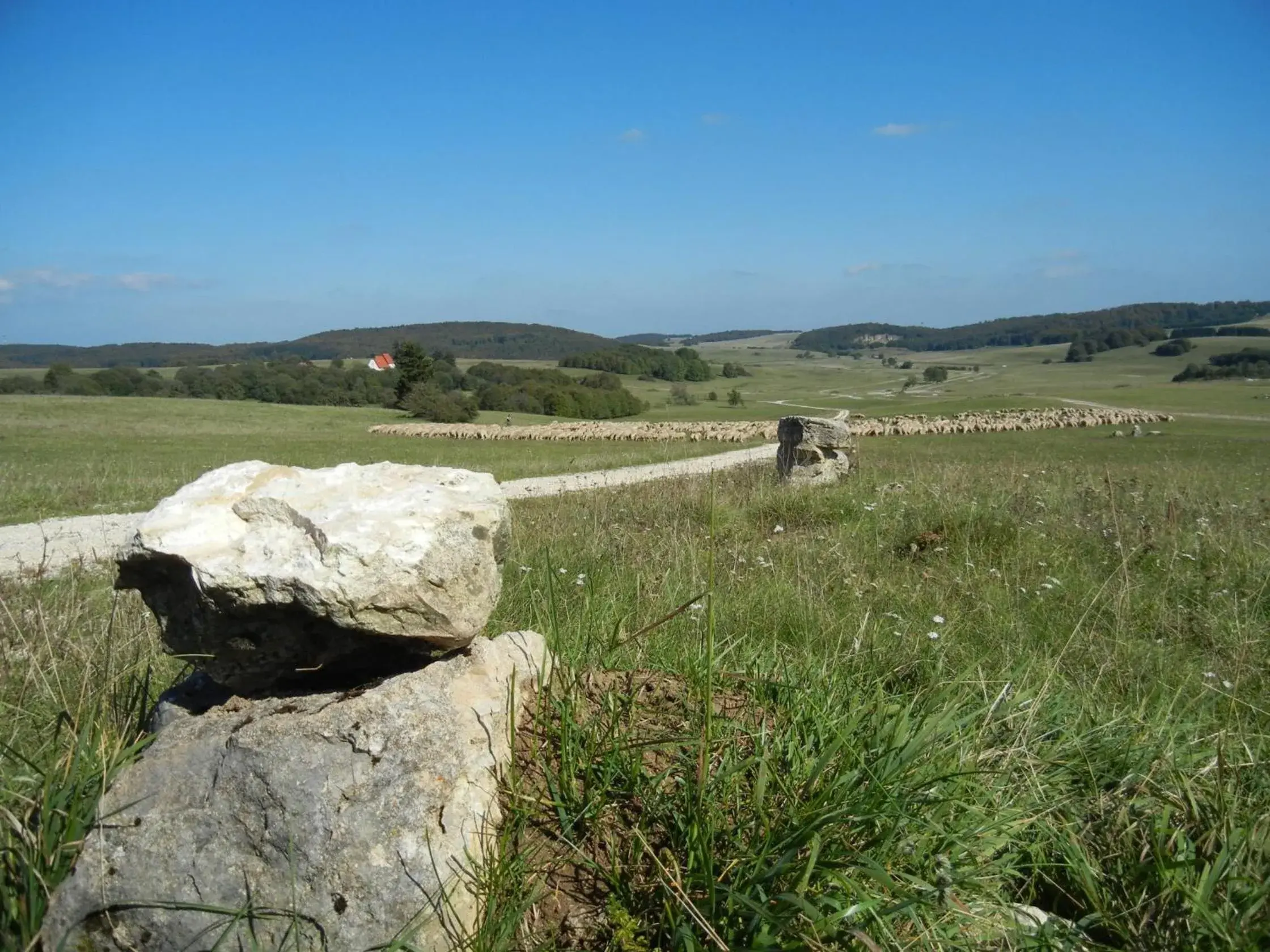 Nearby landmark in Hotel zum Ochsen