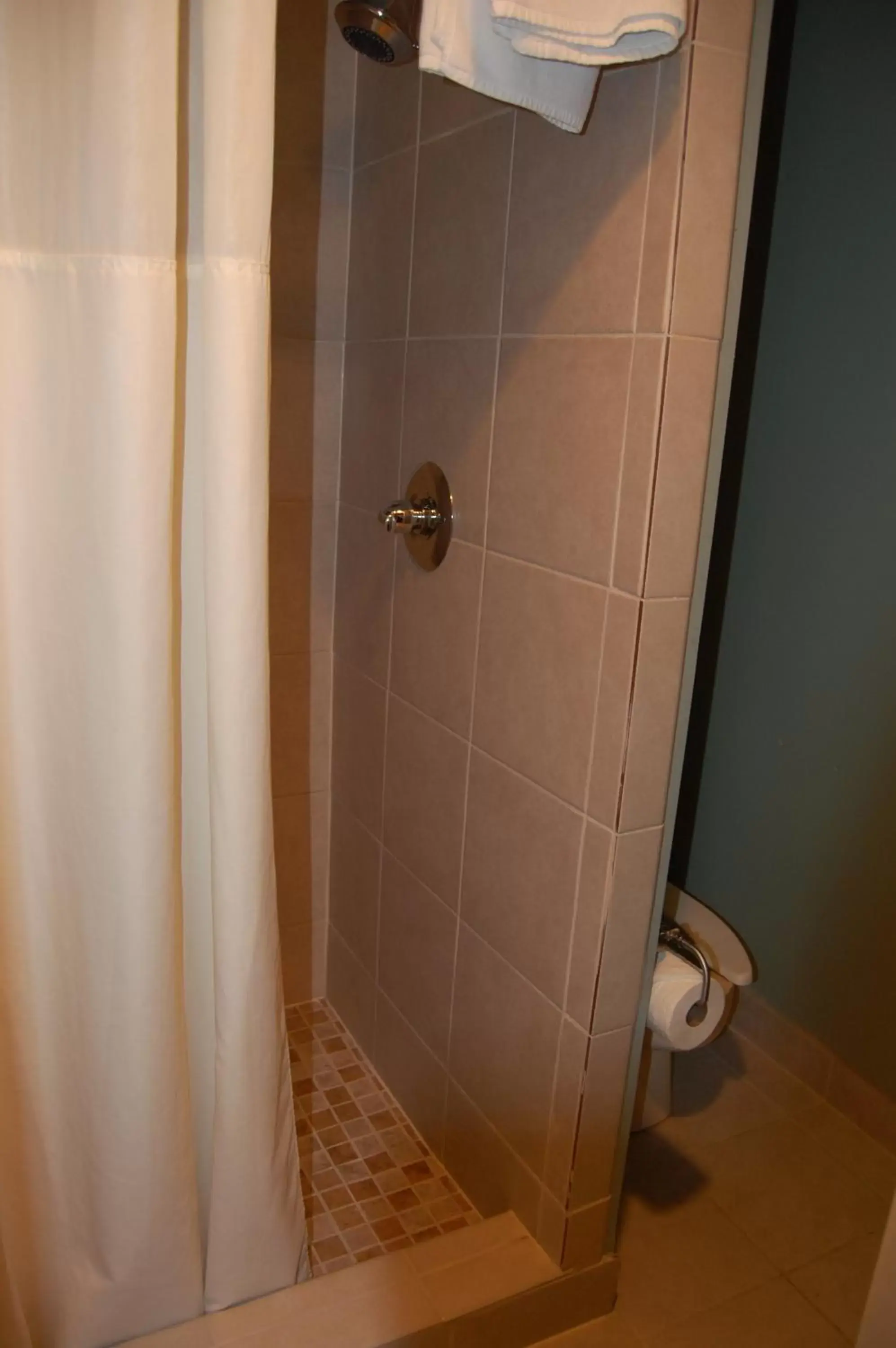 Shower, Bathroom in Windsor Inn Hotel