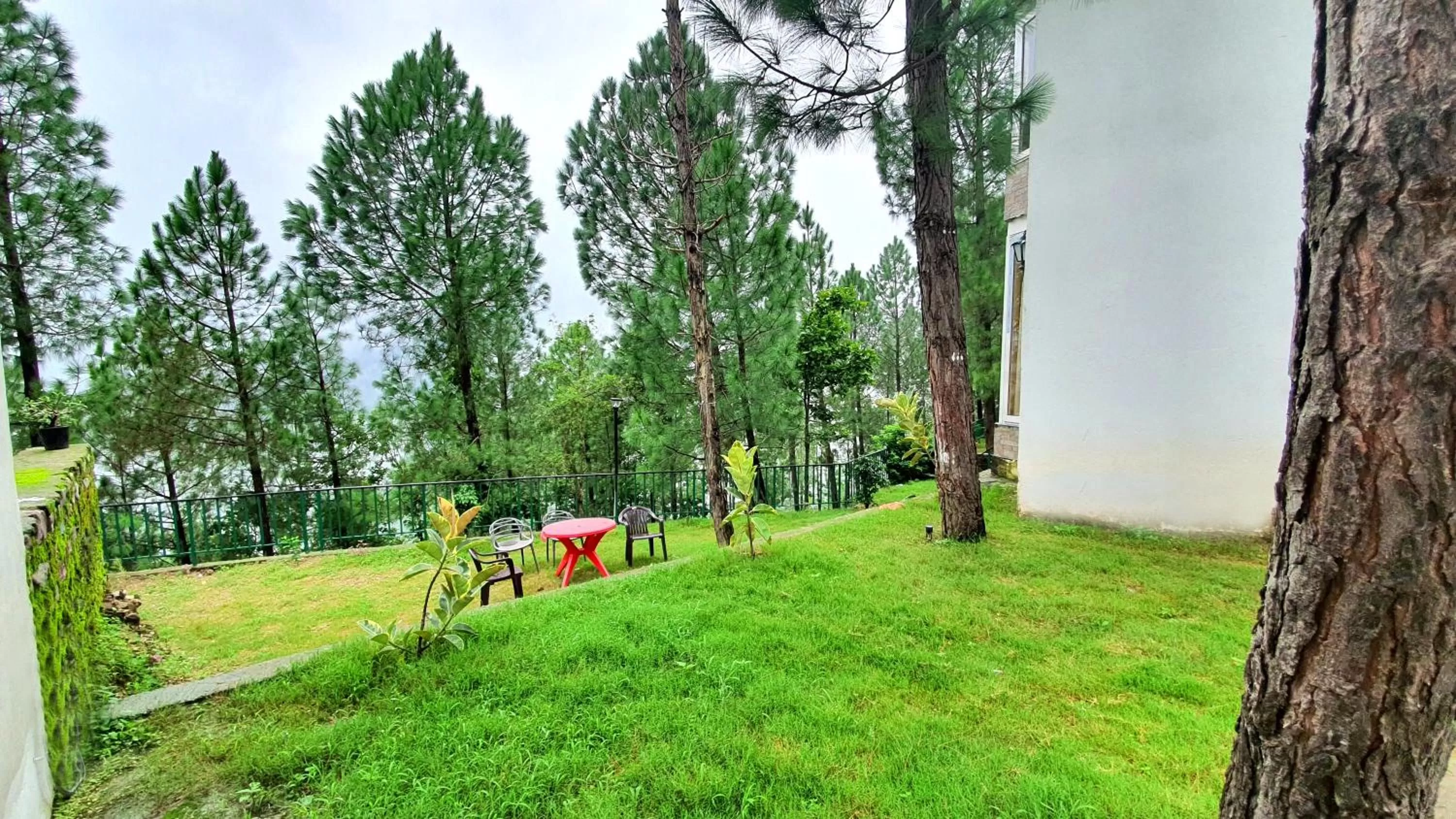 Garden in Blue Pine Orchards - Villas