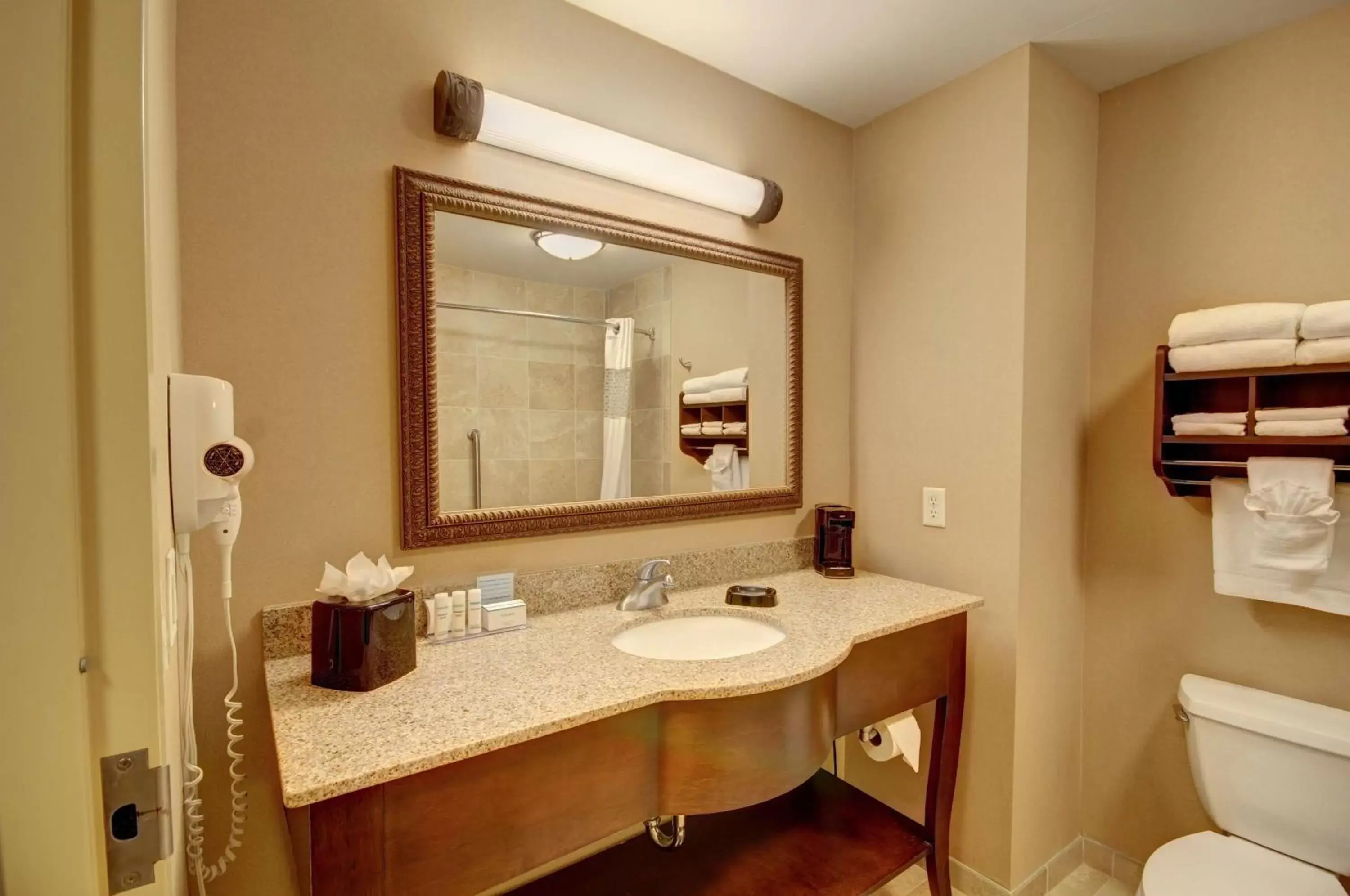 Bathroom in Hampton Inn and Suites Alexandria