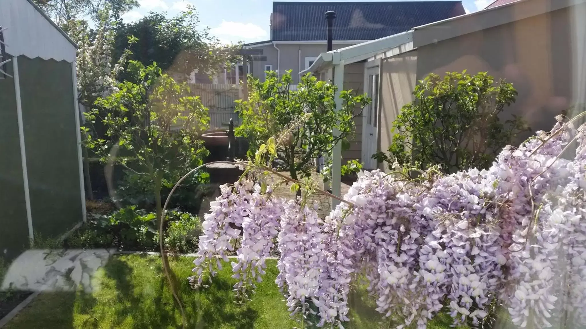 Natural landscape, Garden in Designer Cottage