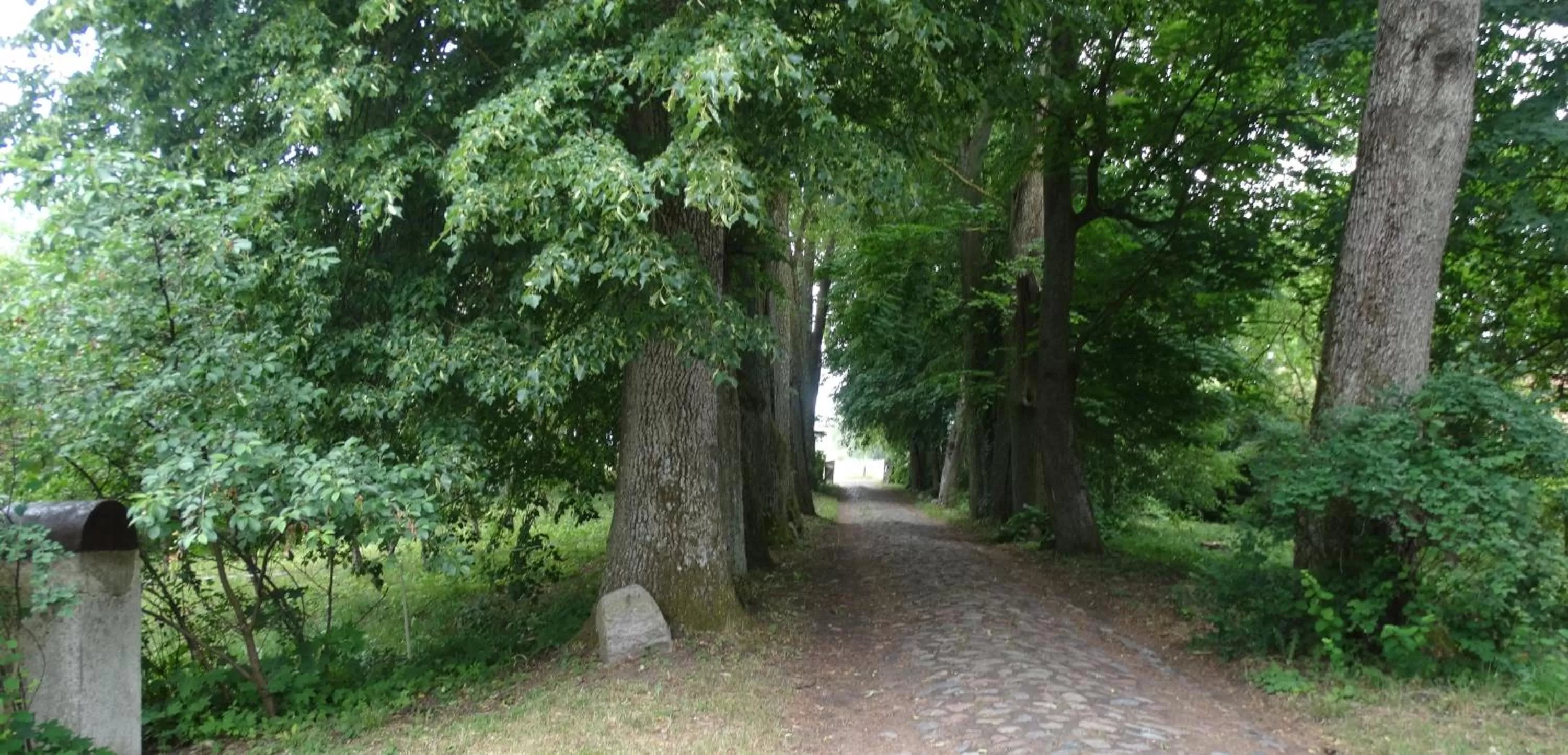 Spring in Dom na Mazurach Pilec