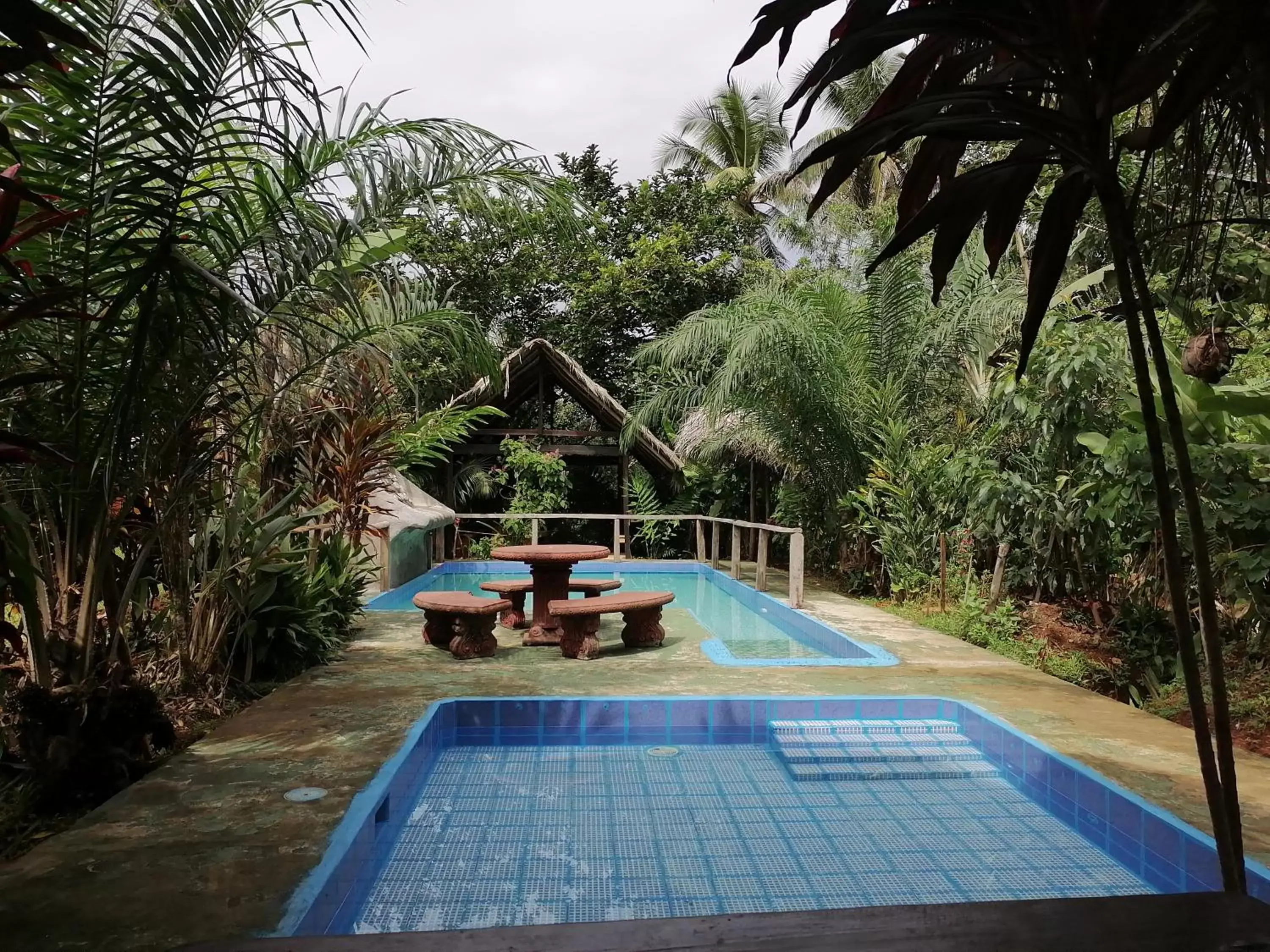 Swimming Pool in Iguanitas Lodge