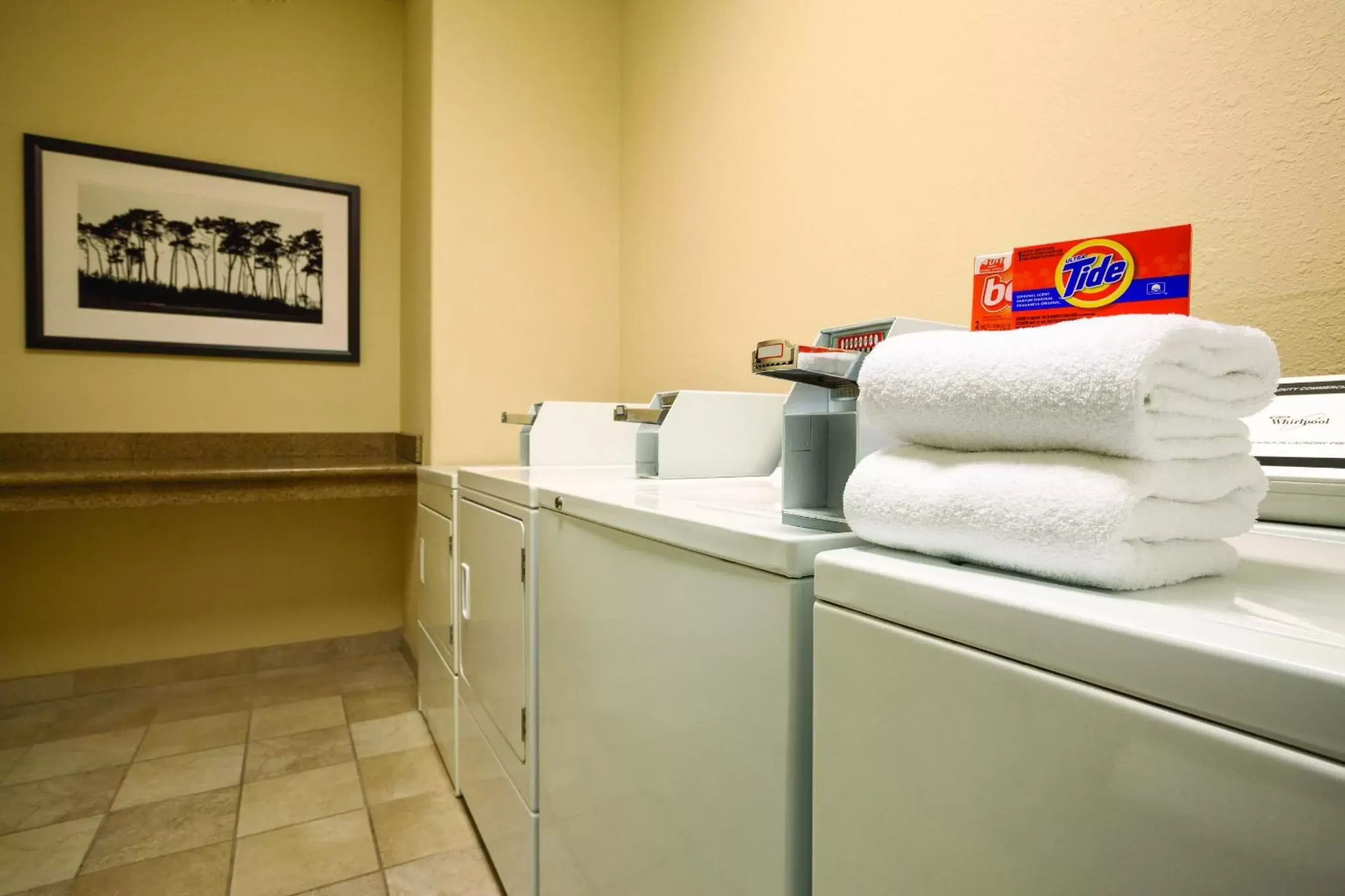 Area and facilities in Country Inn & Suites by Radisson, Mesa, AZ