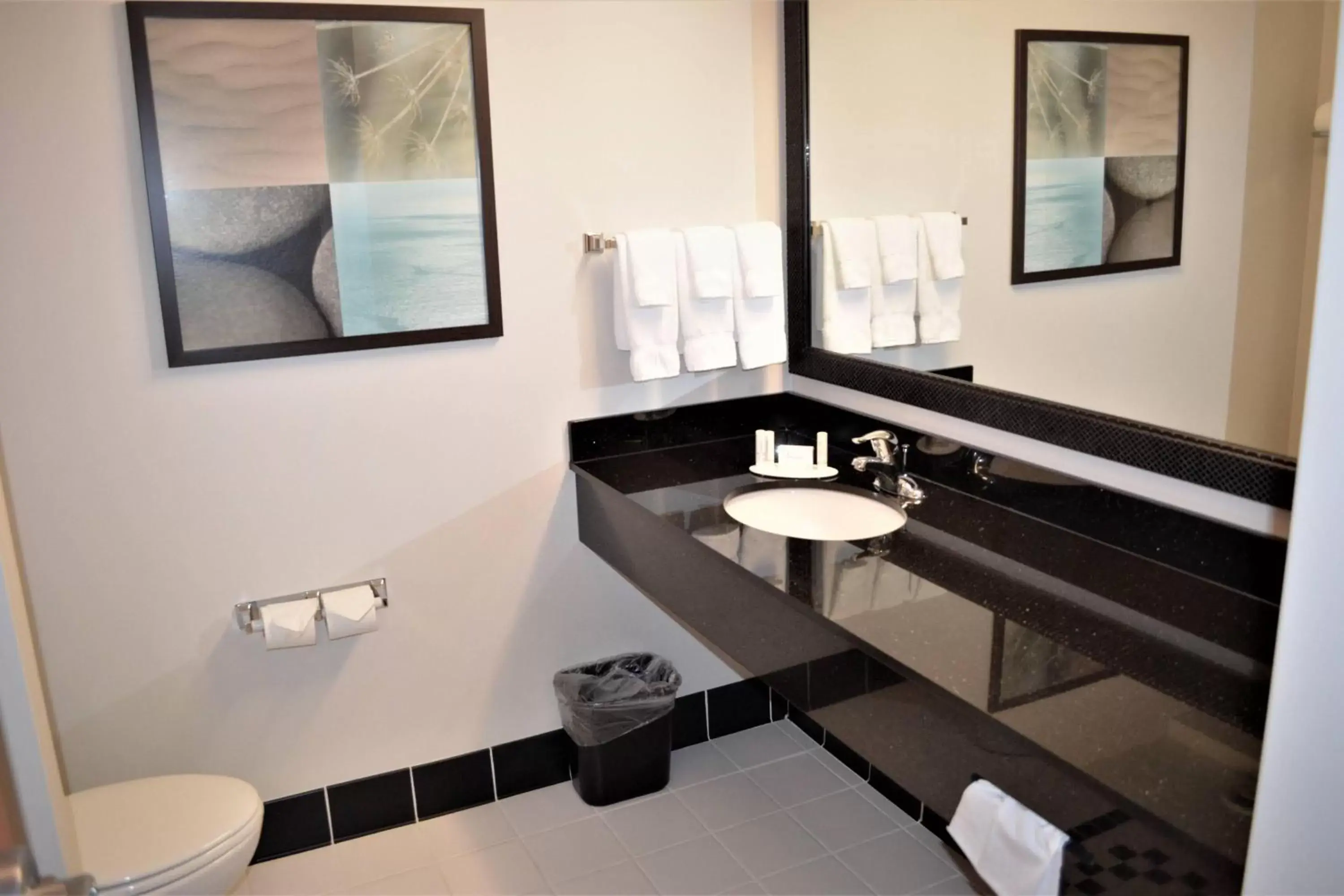 Bathroom in Fairfield Inn & Suites by Marriott Sault Ste. Marie