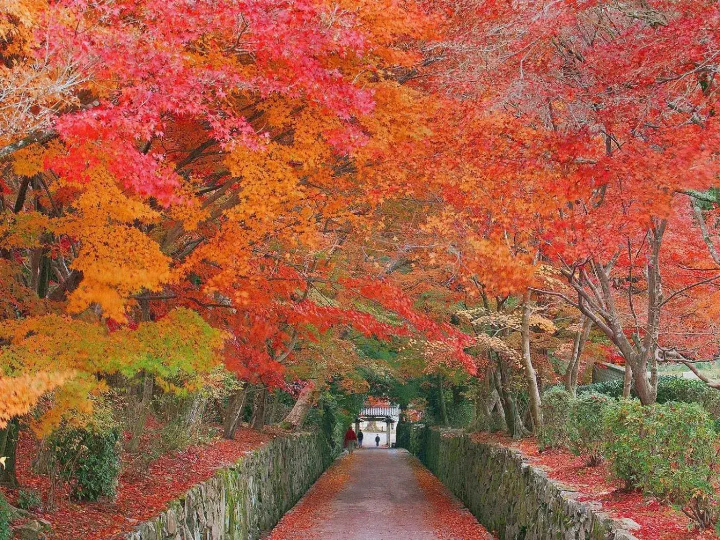 Off site, Garden in Kyoto Uji Hanayashiki Ukifune-En