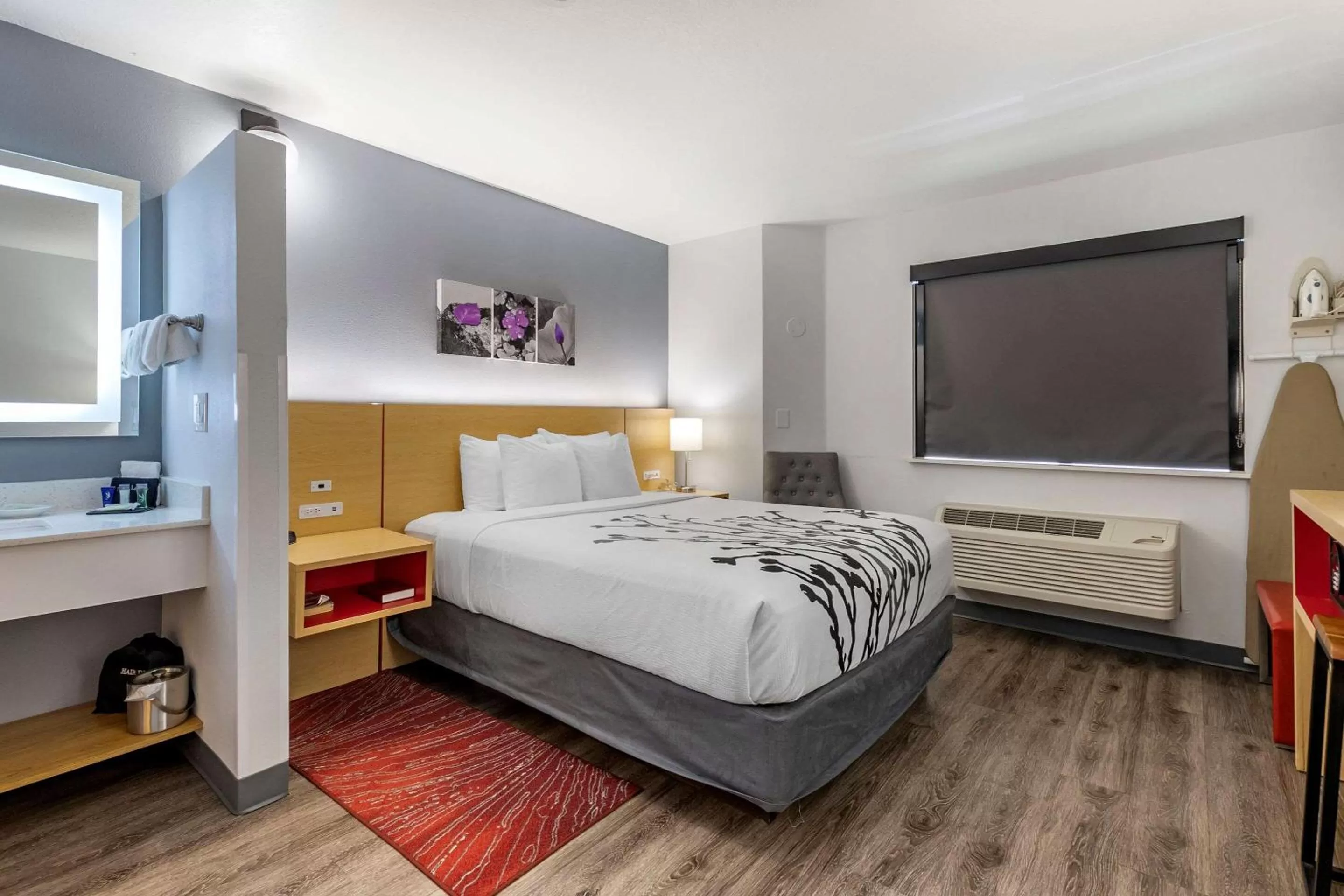 Standard Queen Room - Non Smoking in Sleep Inn & Suites