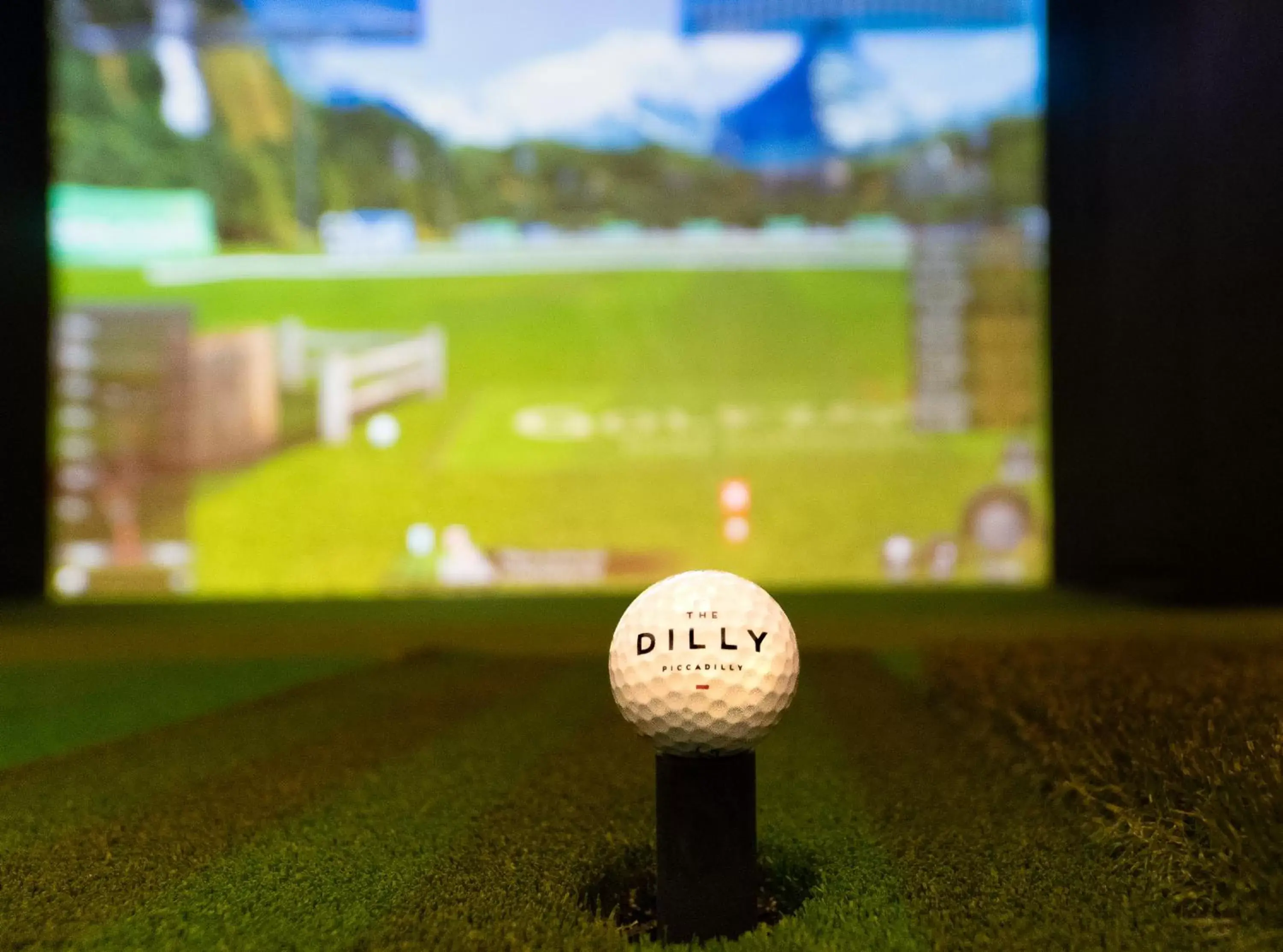 Fitness centre/facilities, Golf in The Dilly