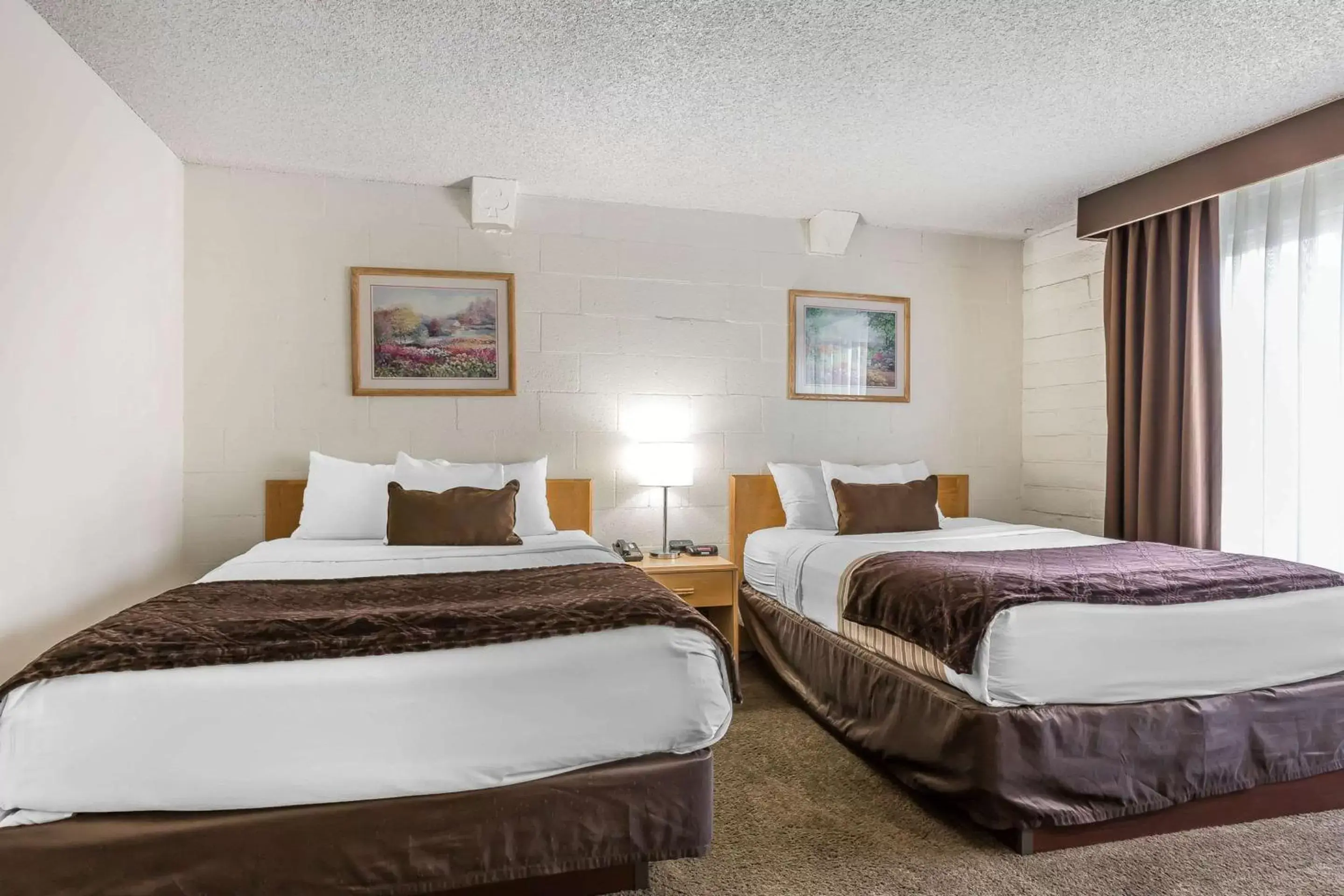 Photo of the whole room, Bed in Econo Lodge Lake Elsinore Casino