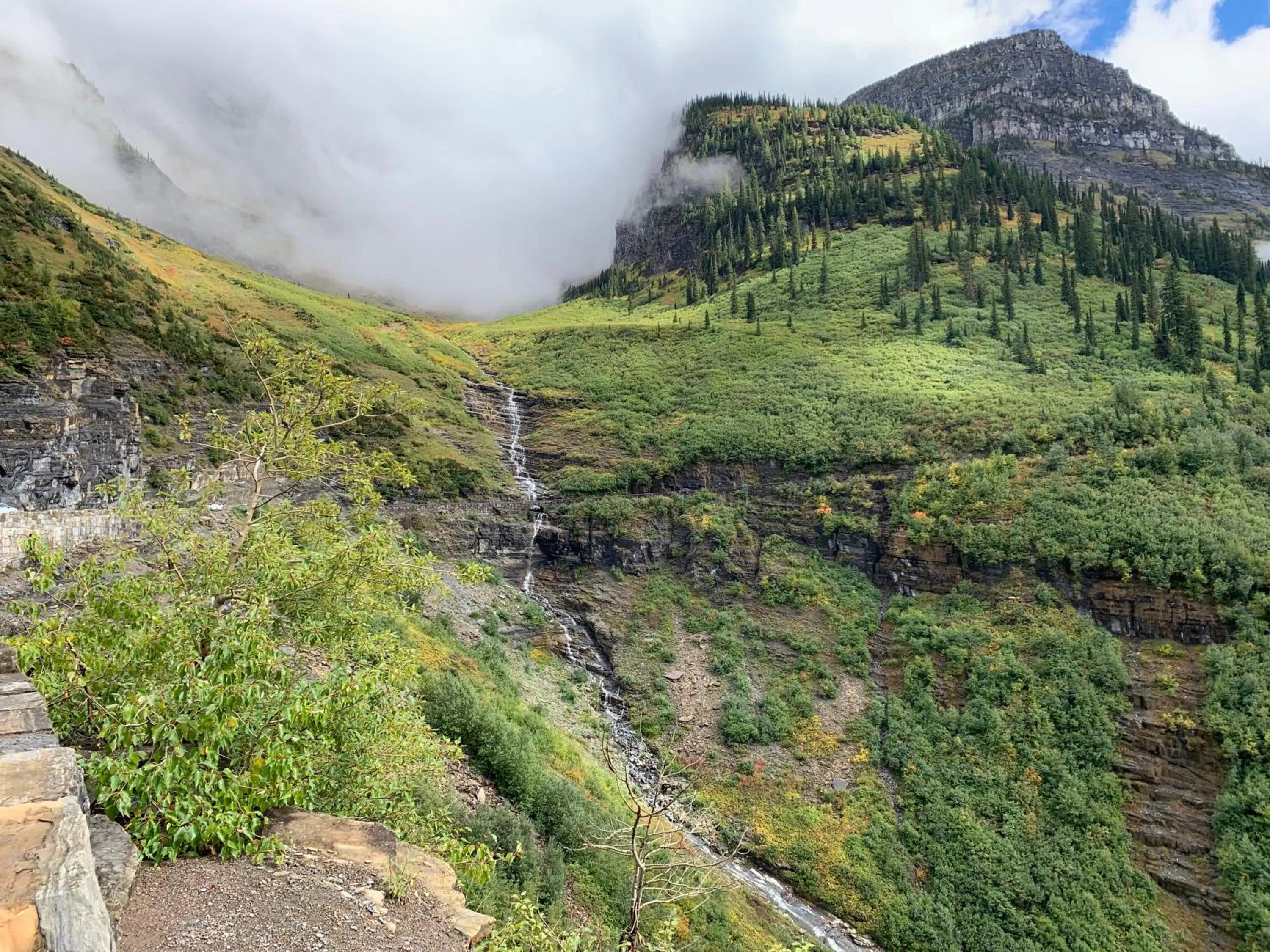 Natural landscape in Glacier Haven Inn