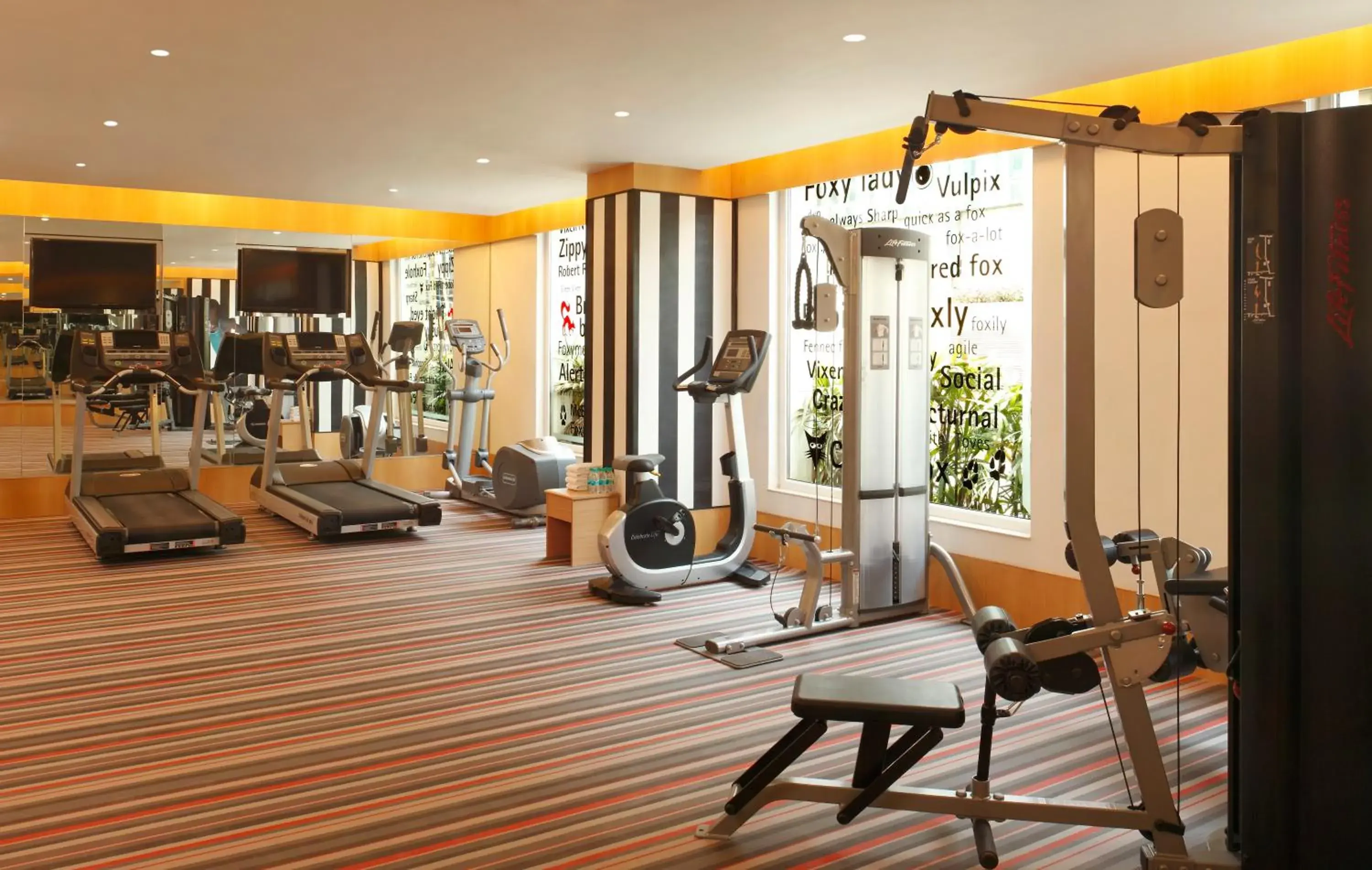 Fitness centre/facilities, Fitness Center/Facilities in Red Fox Hotel, East Delhi