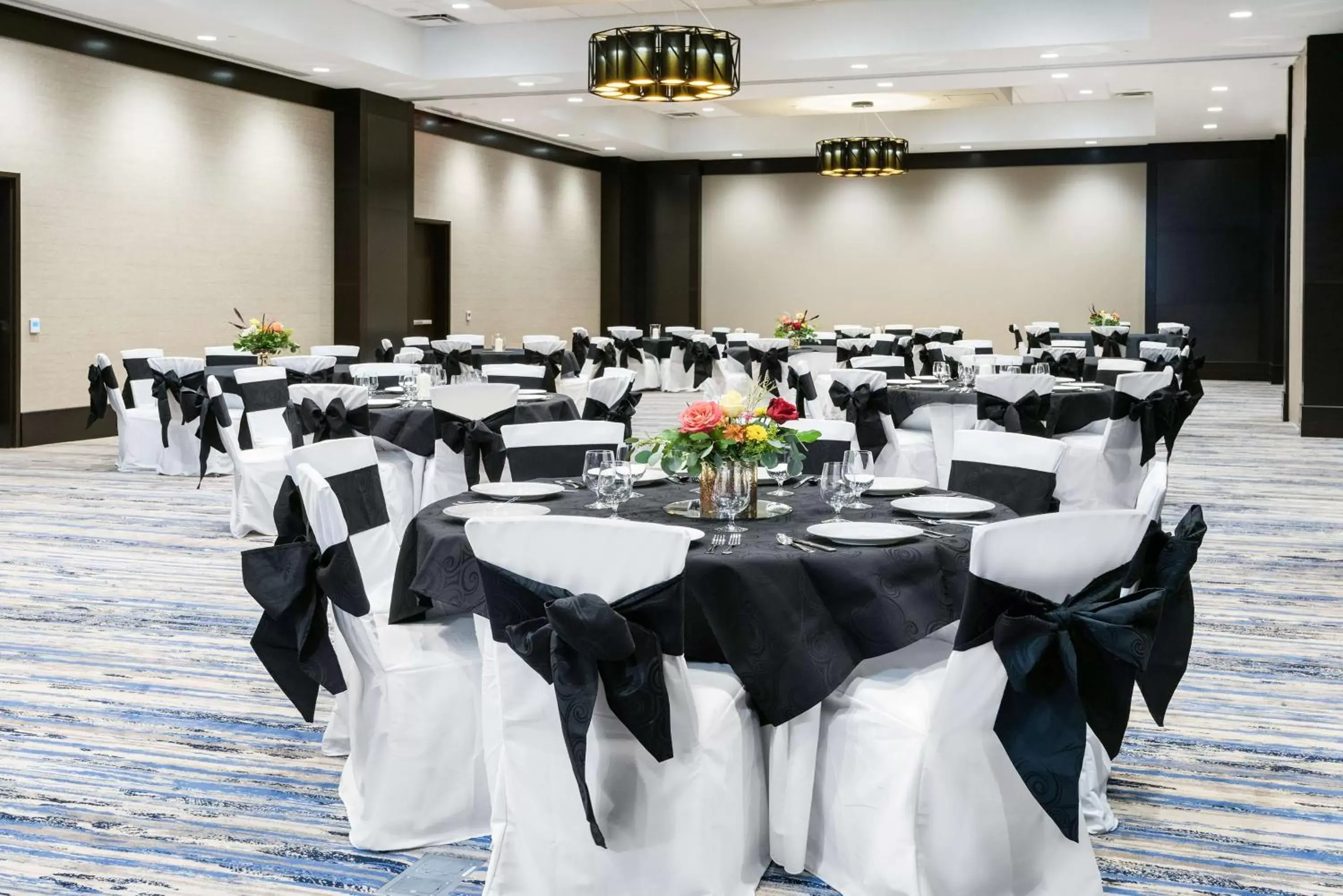 Meeting/conference room, Banquet Facilities in Embassy Suites By Hilton College Station