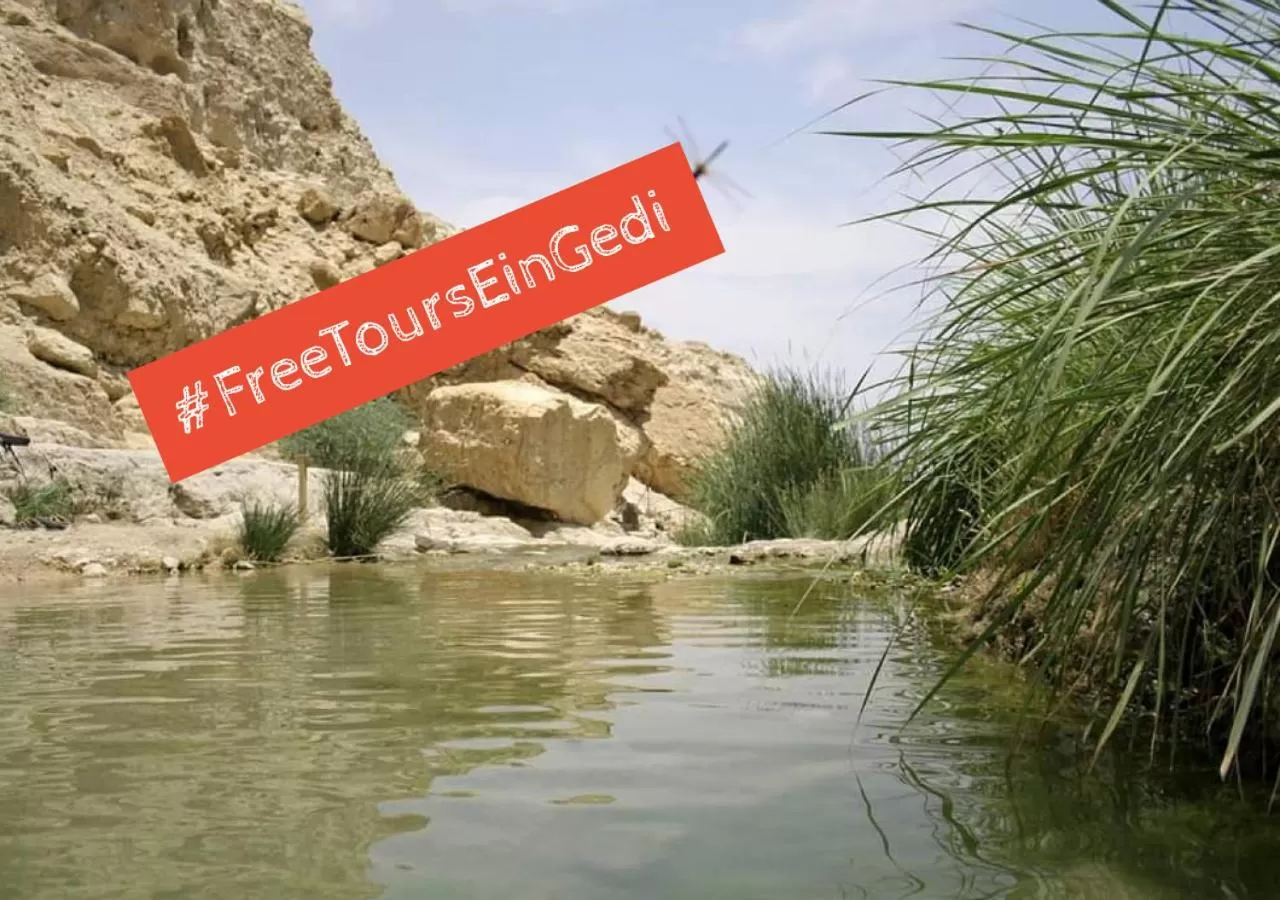 Nearby landmark in Ein Gedi Kibbutz Hotel